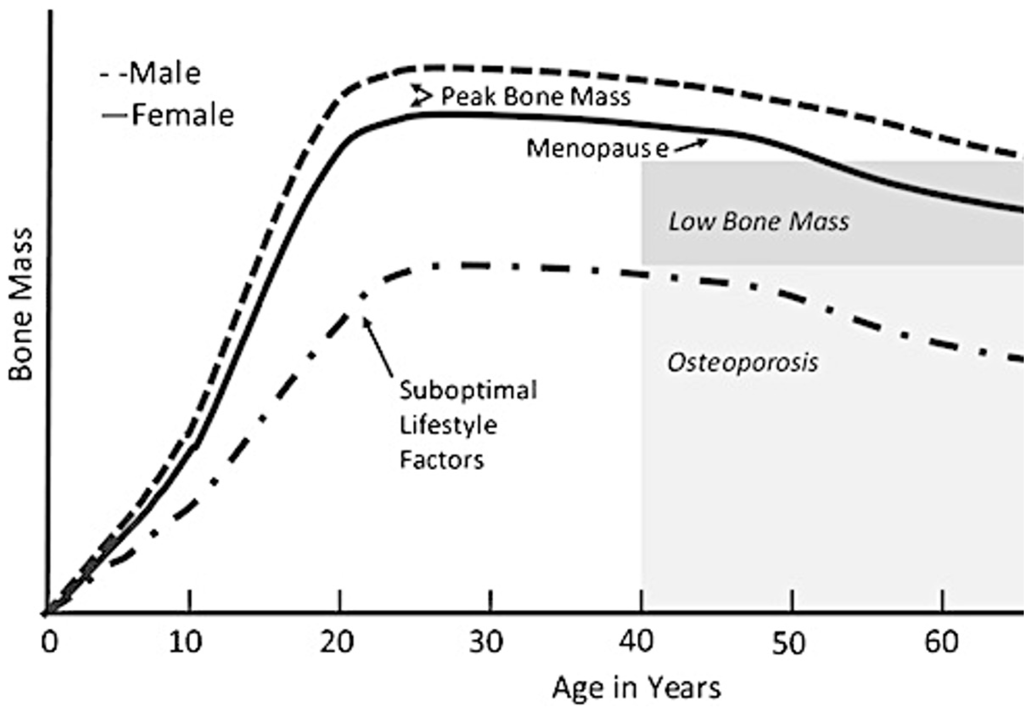 Behavsci 13 00539 g001