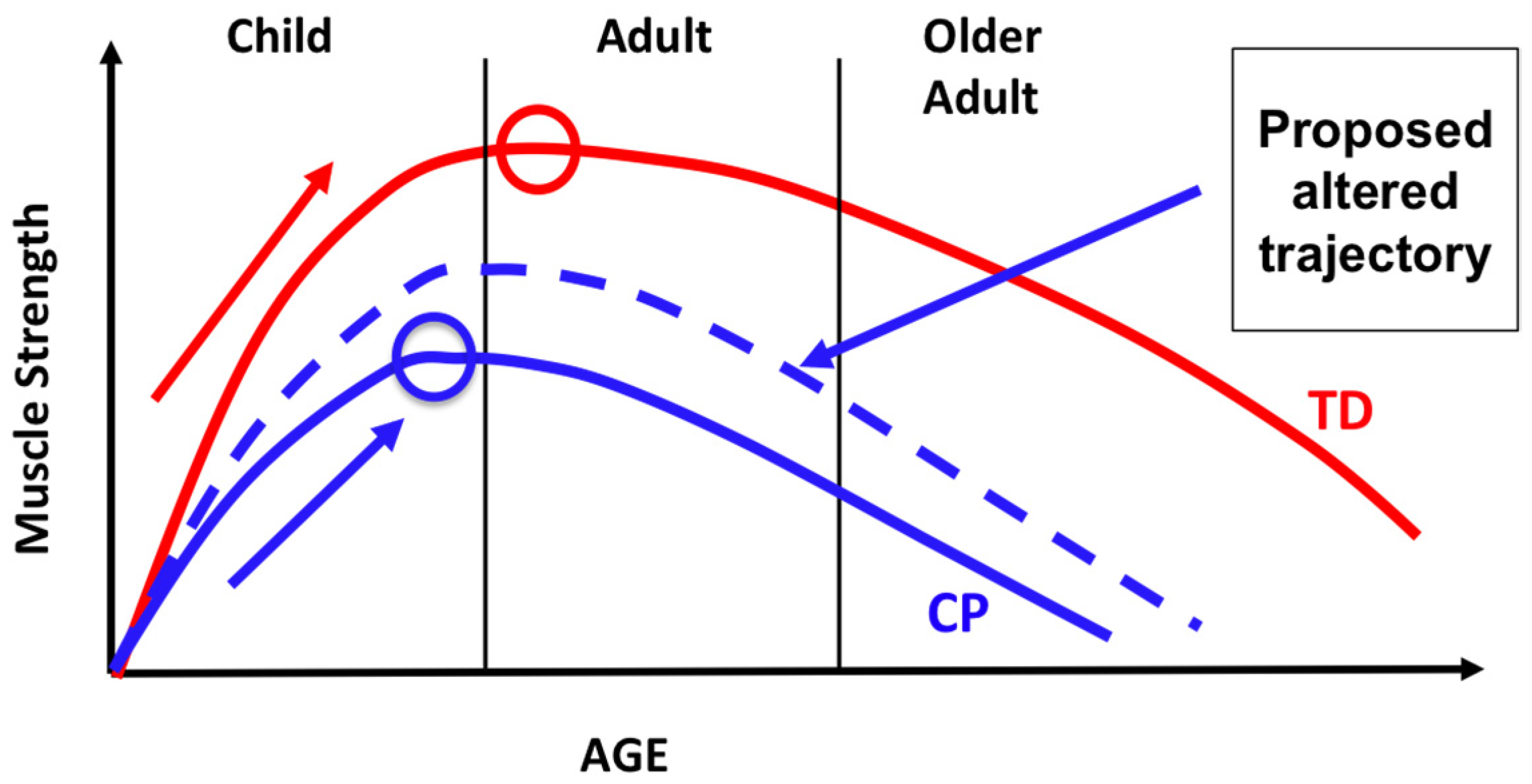 Behavsci 13 00539 g004