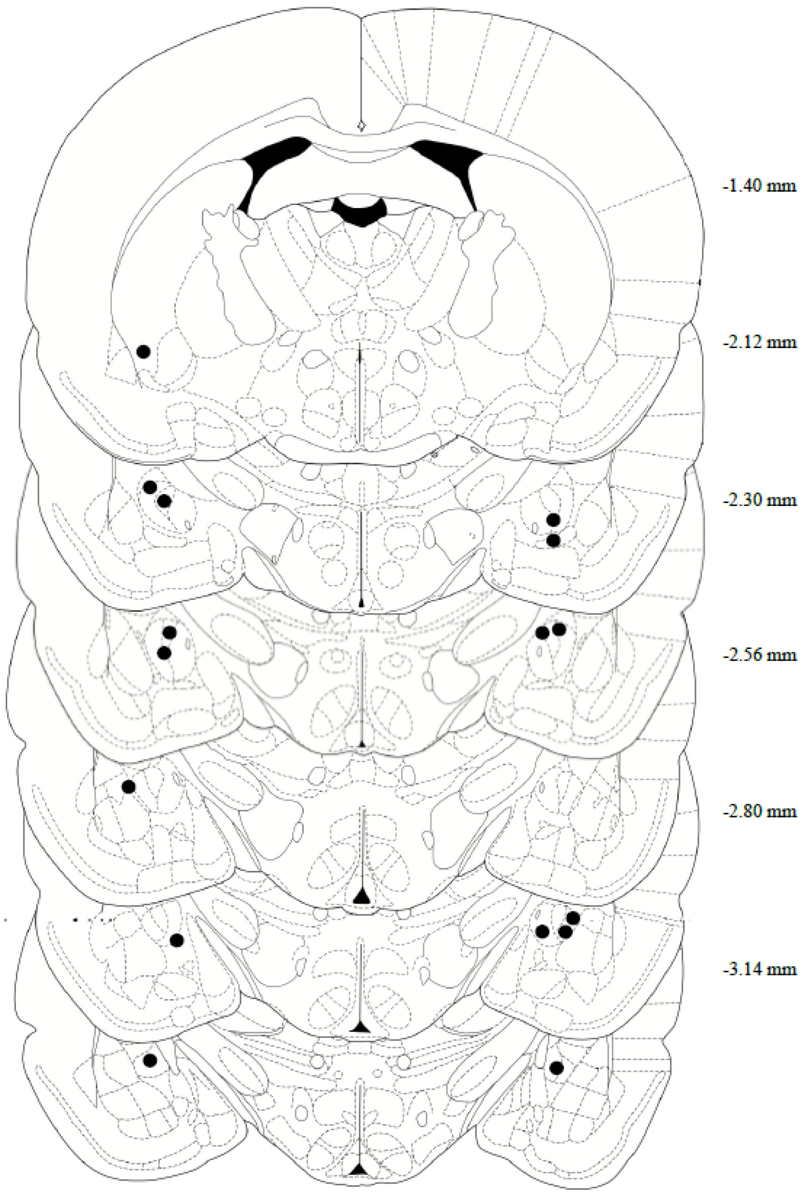 Behavsci 13 00556 g002 Behavsci 13 00556 g002