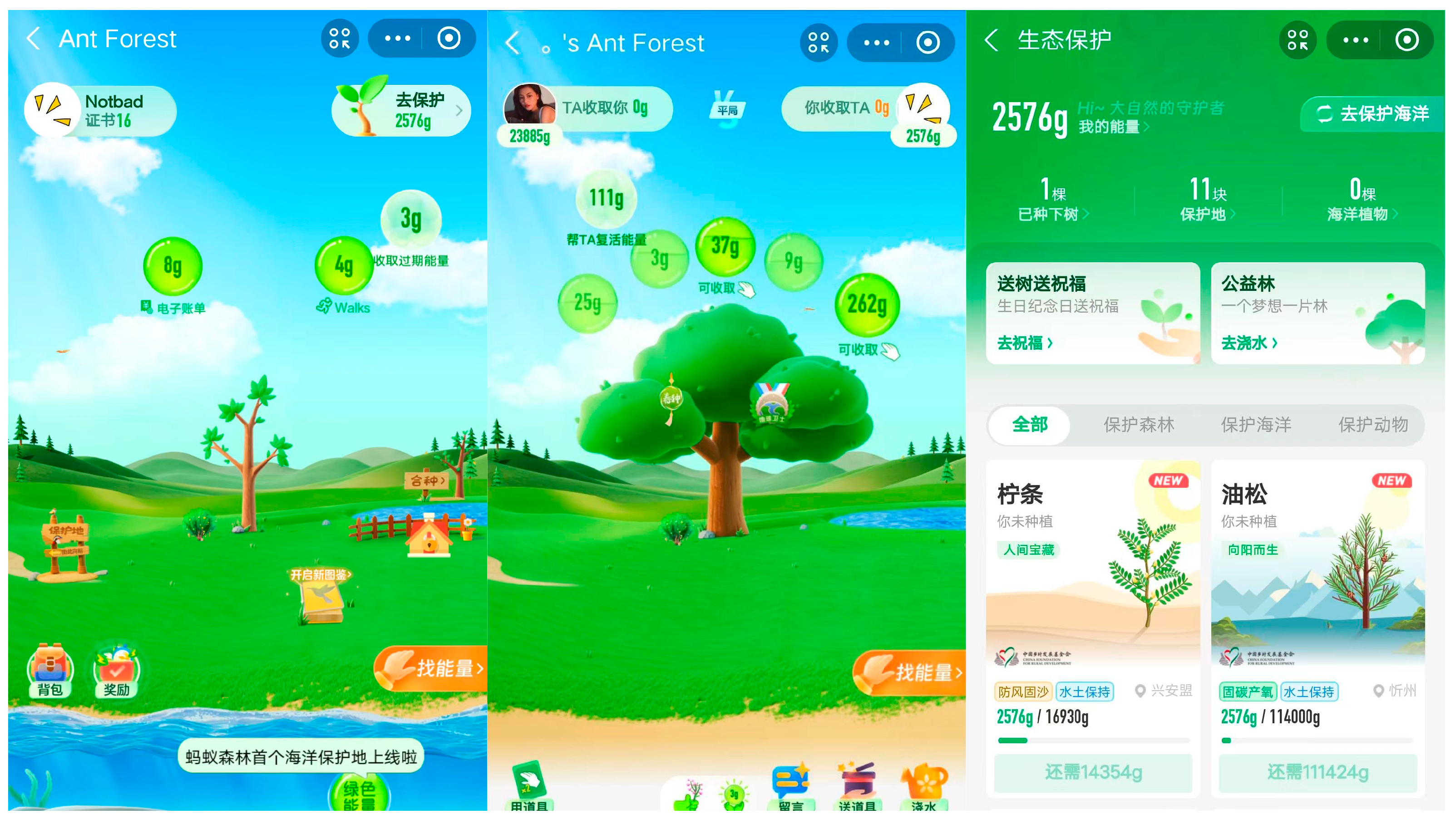 Behavsci 13 00604 g001