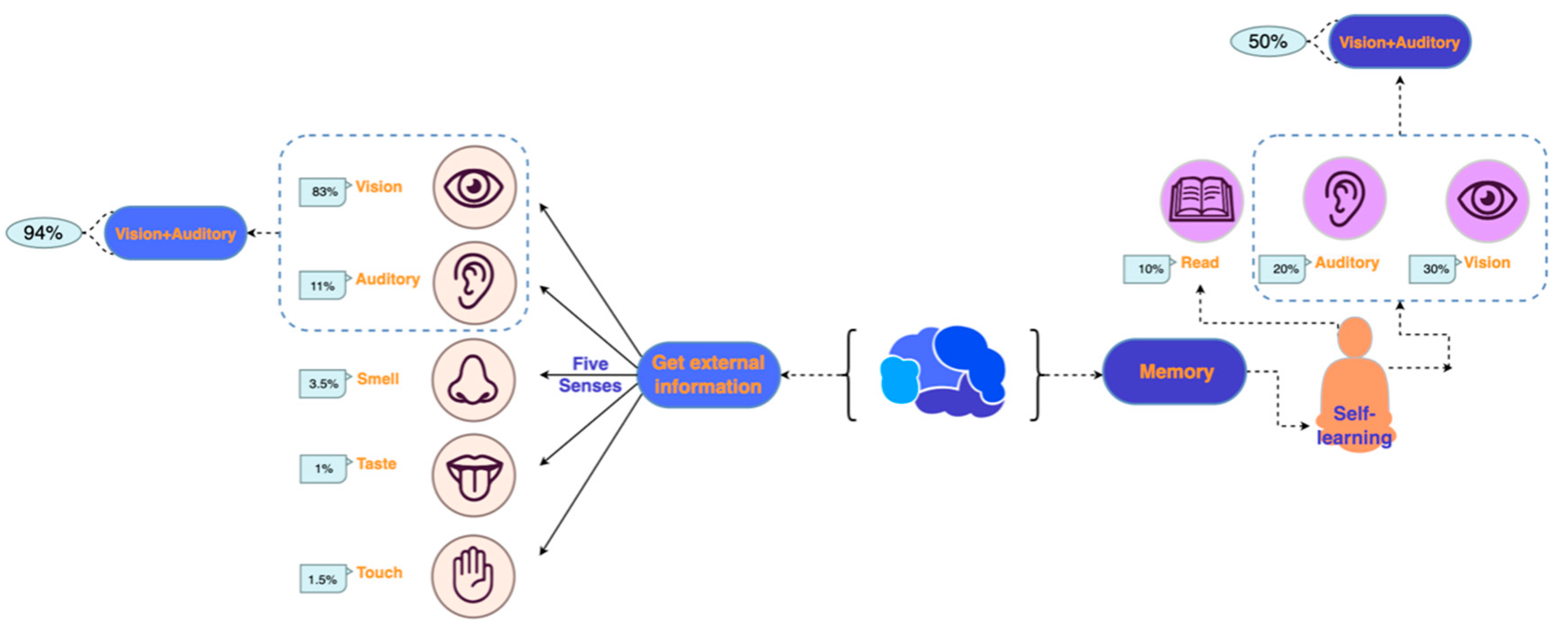 Behavsci 13 00613 g001