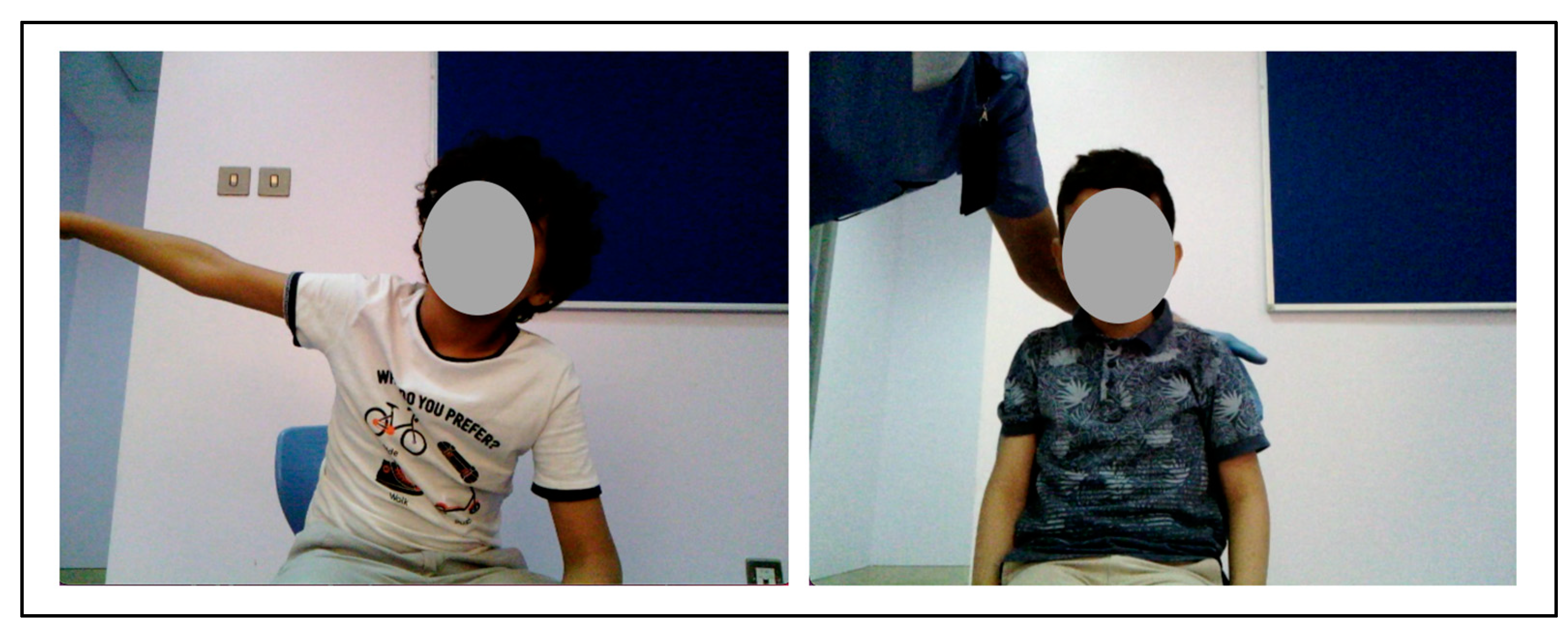 Behavsci 13 00618 g010