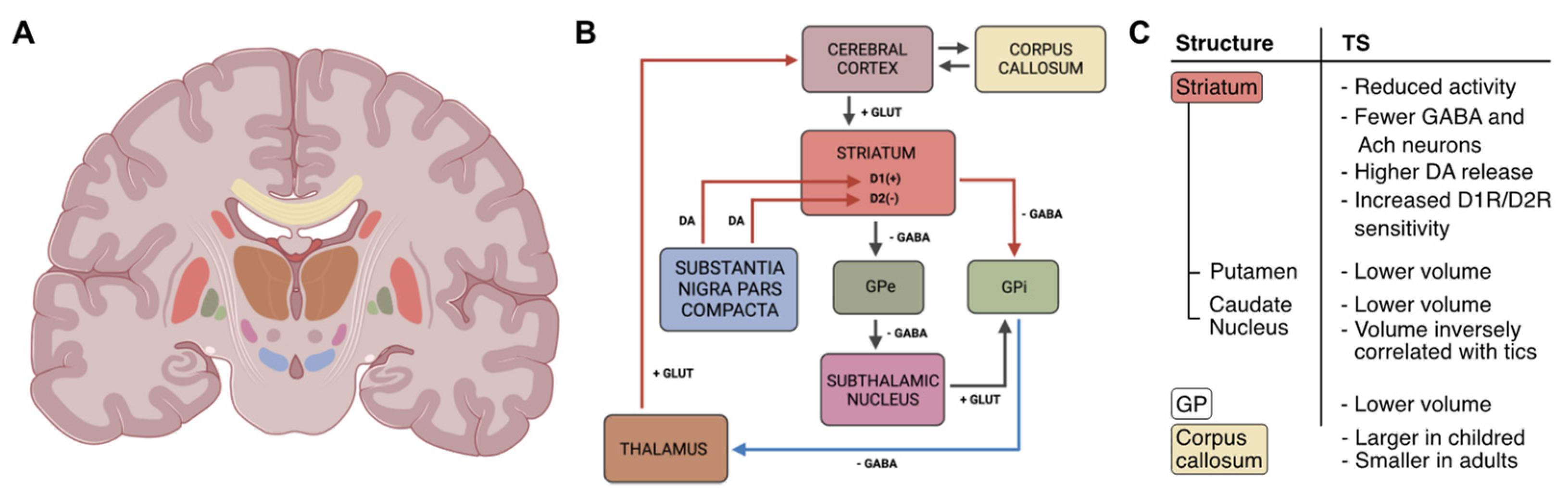 Behavsci 13 00668 g001