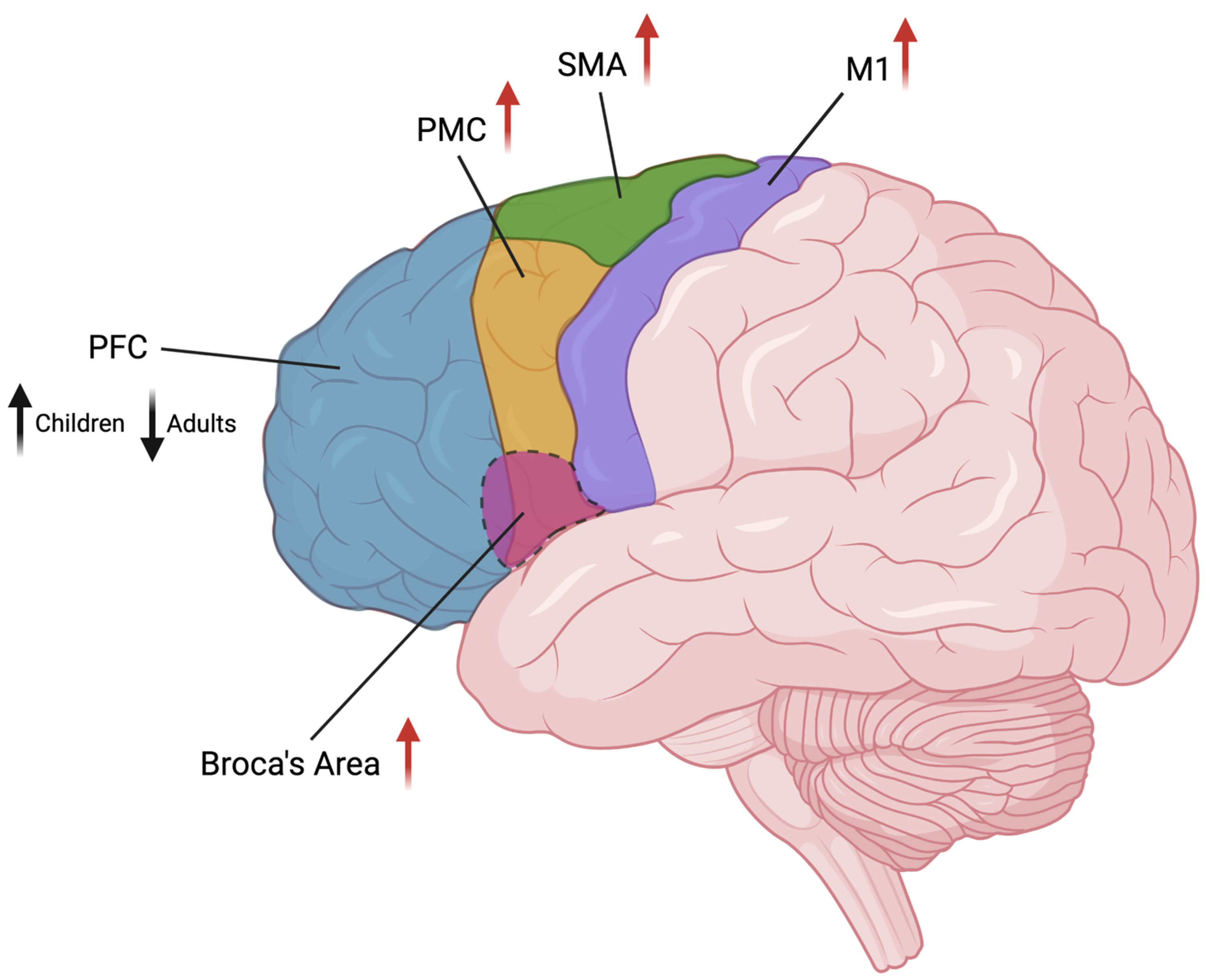 Behavsci 13 00668 g002