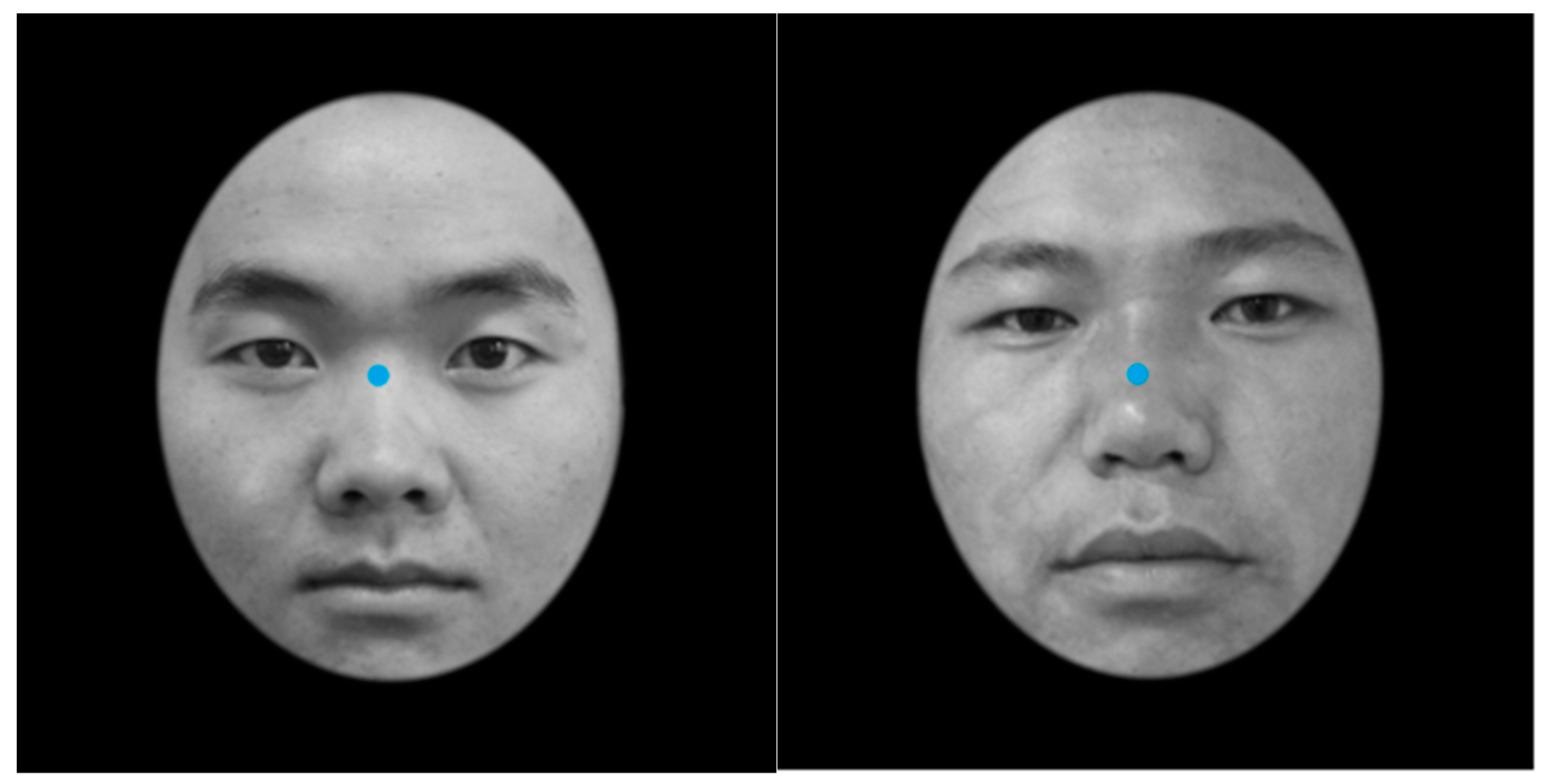 Behavsci 13 00675 g001