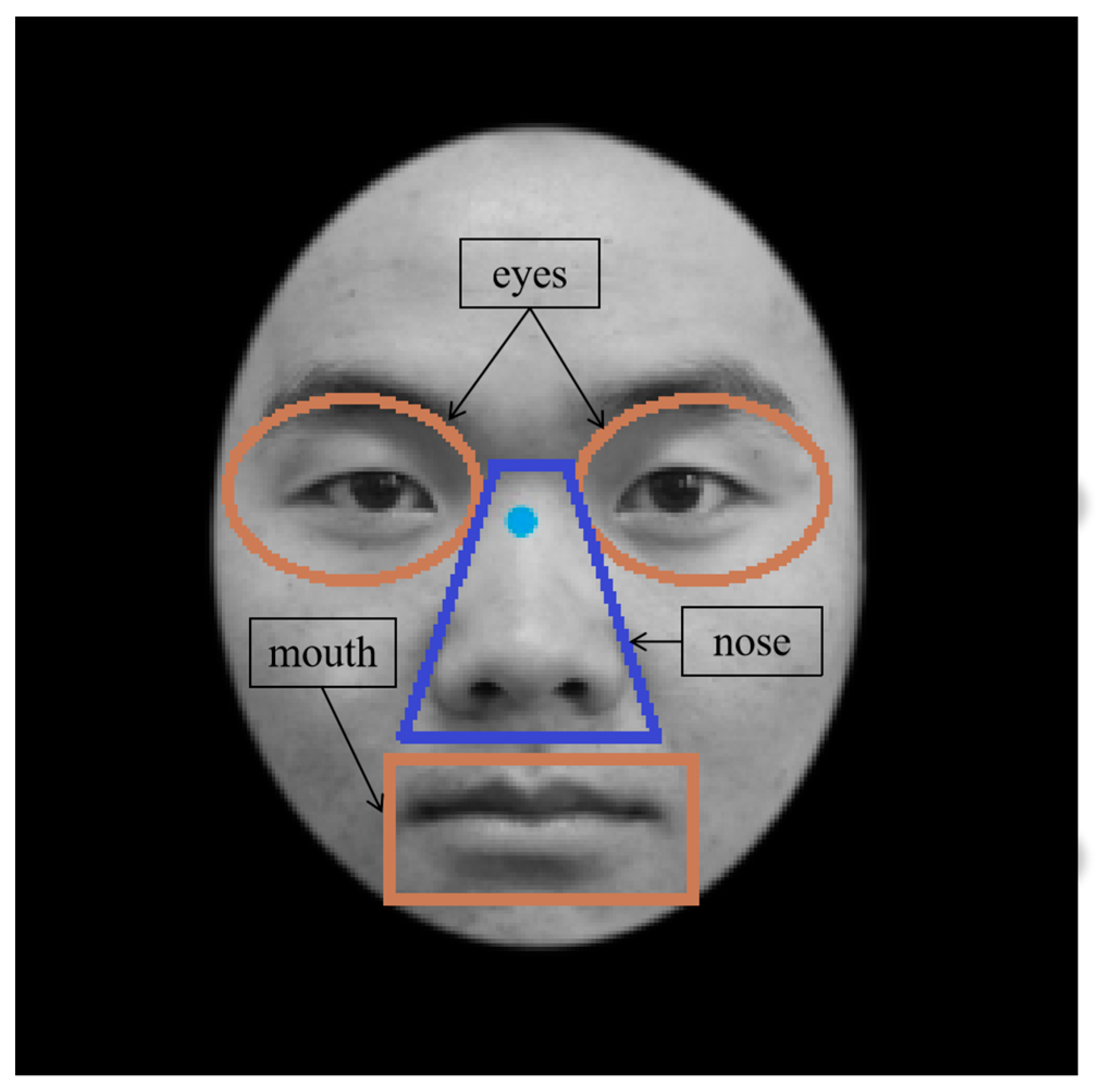Behavsci 13 00675 g002