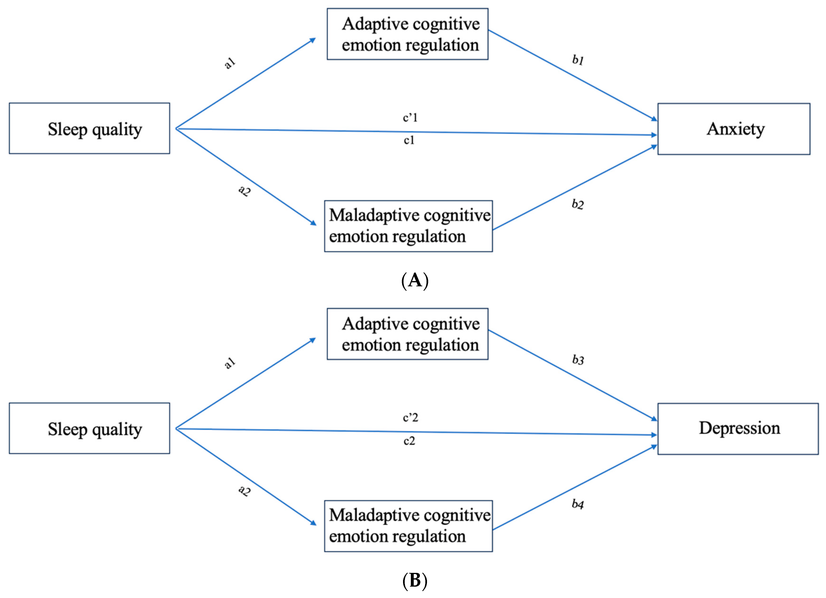 Behavsci 13 00861 g001
