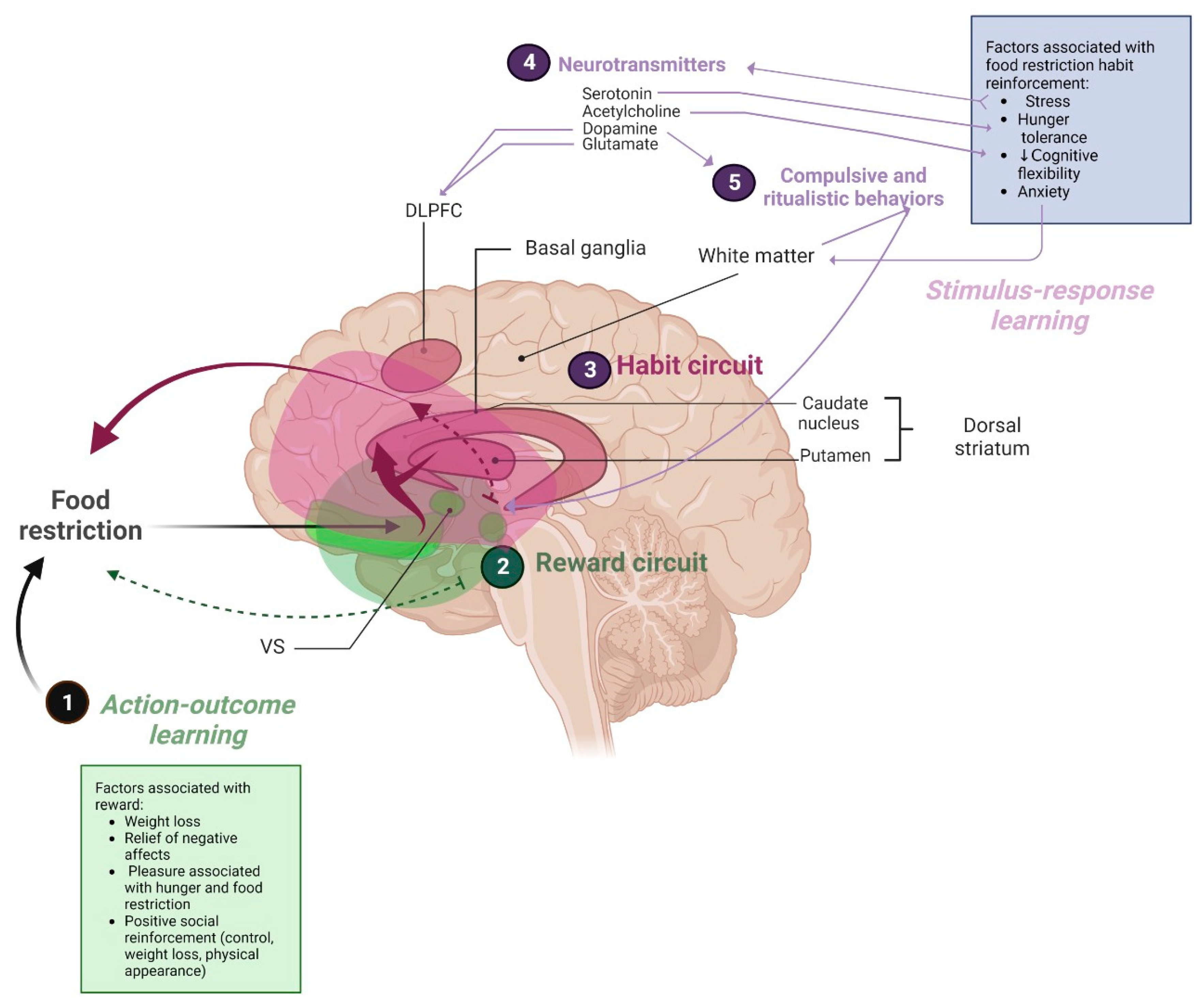 Behavsci 13 00883 g004