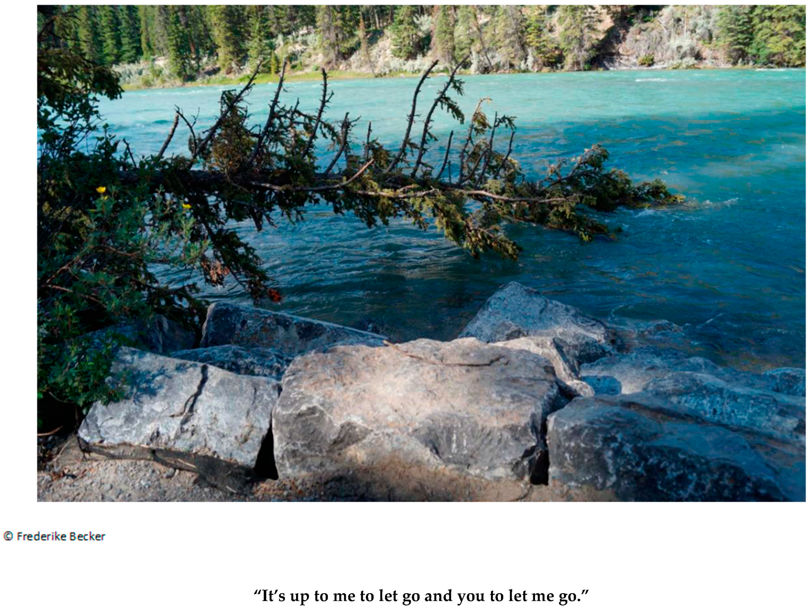 Behavsci 13 00931 g001