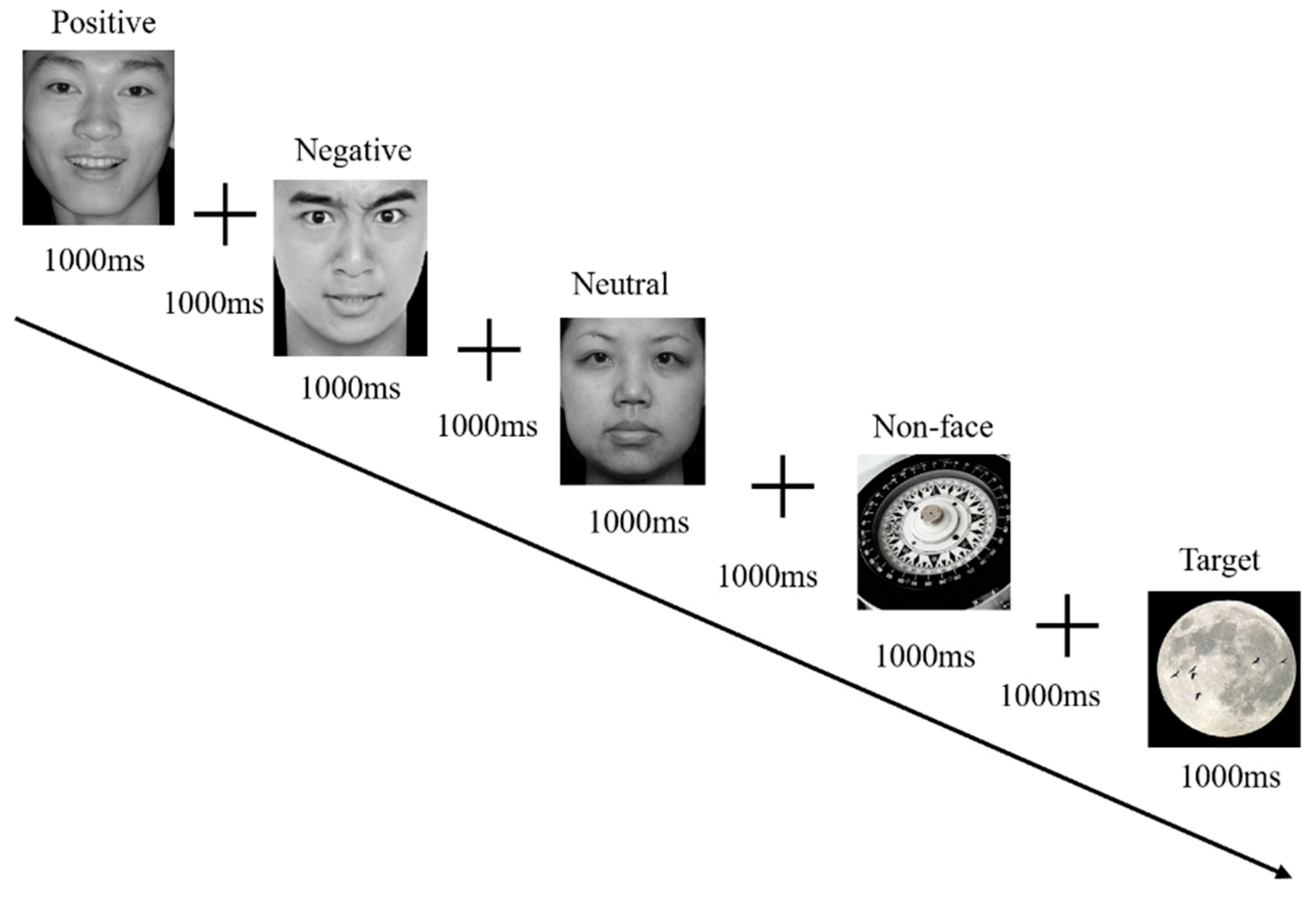 Behavsci 14 00202 g001