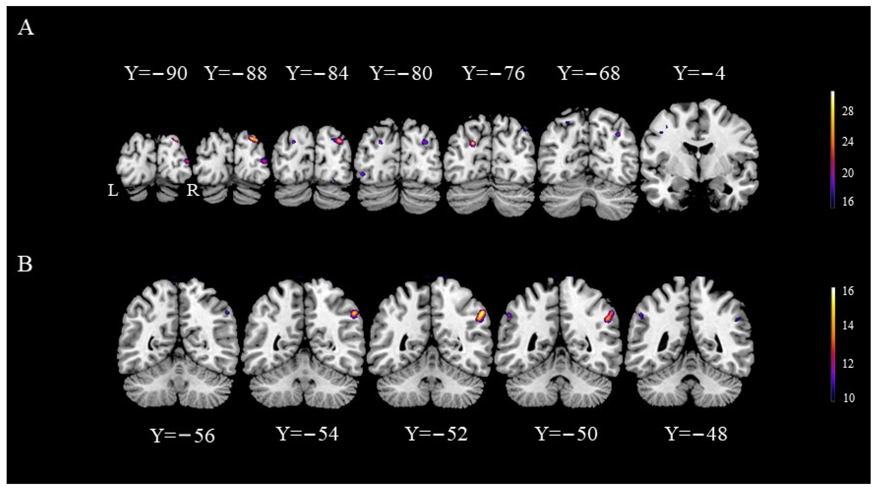 Behavsci 14 00469 g005 Behavsci 14 00469 g005