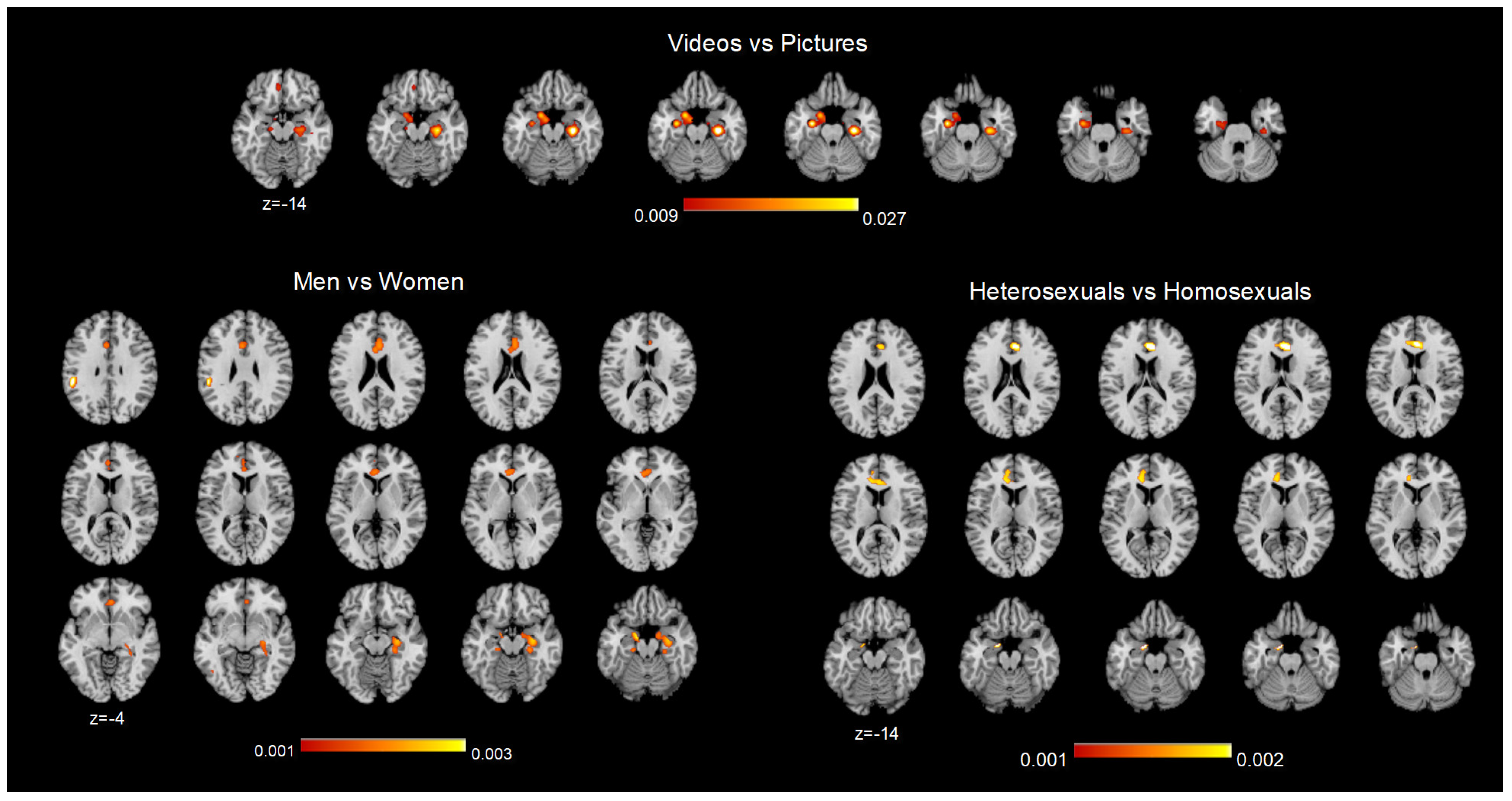 Behavsci 14 00570 g004 Behavsci 14 00570 g004
