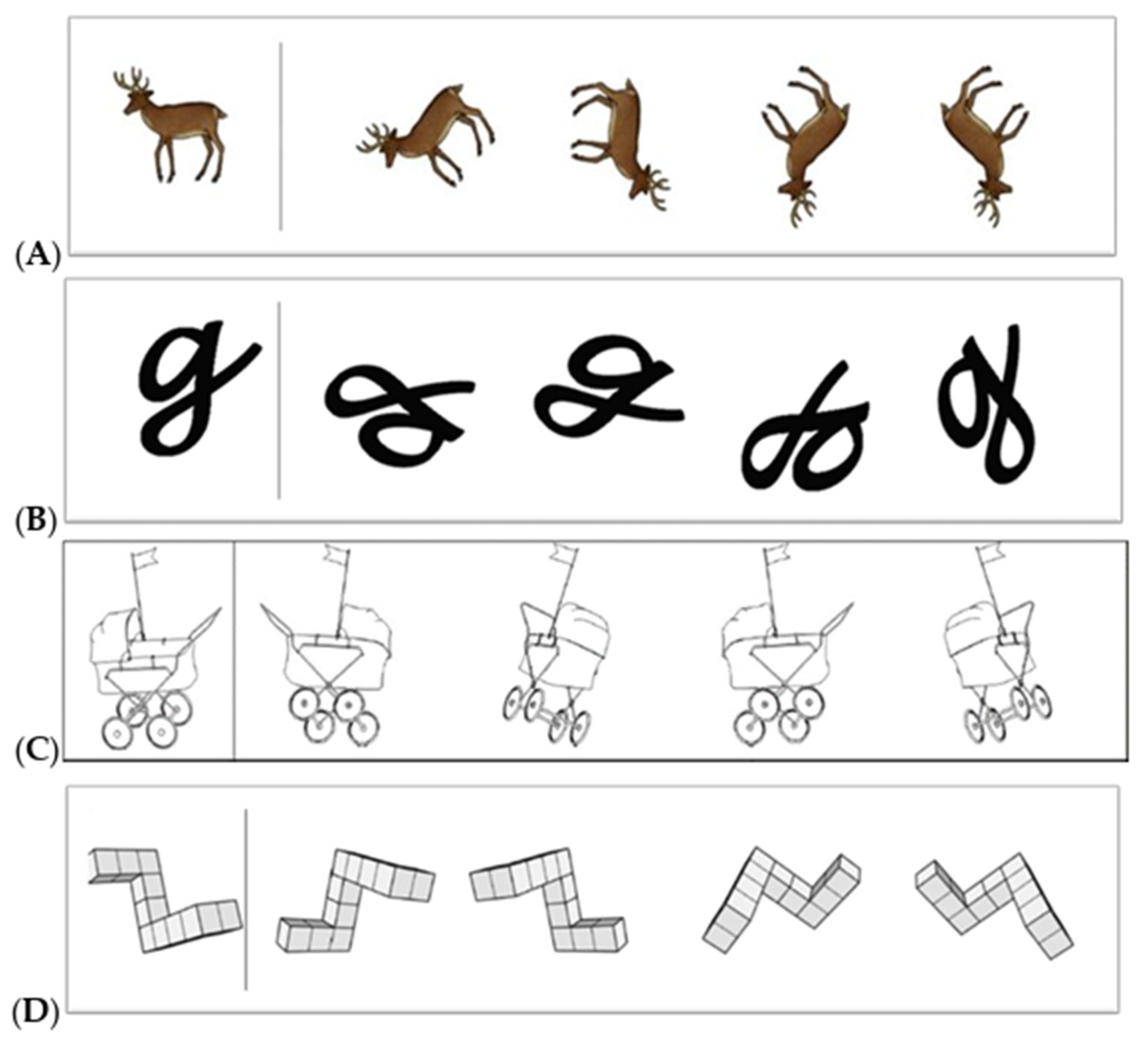 Behavsci 14 00809 g001