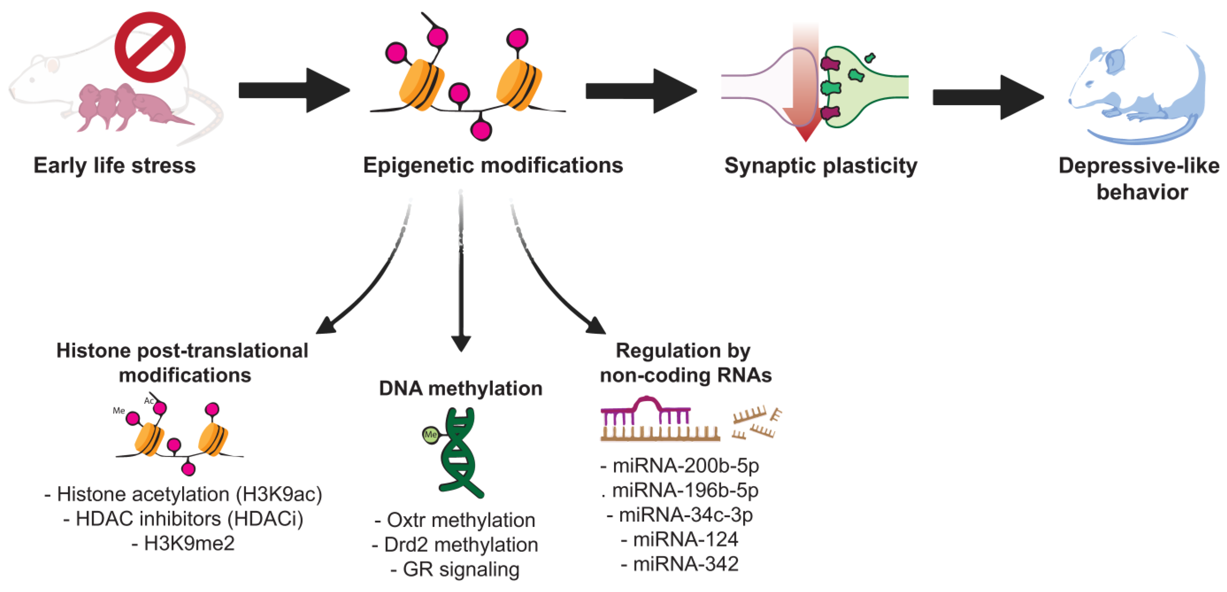 Behavsci 14 00882 g001