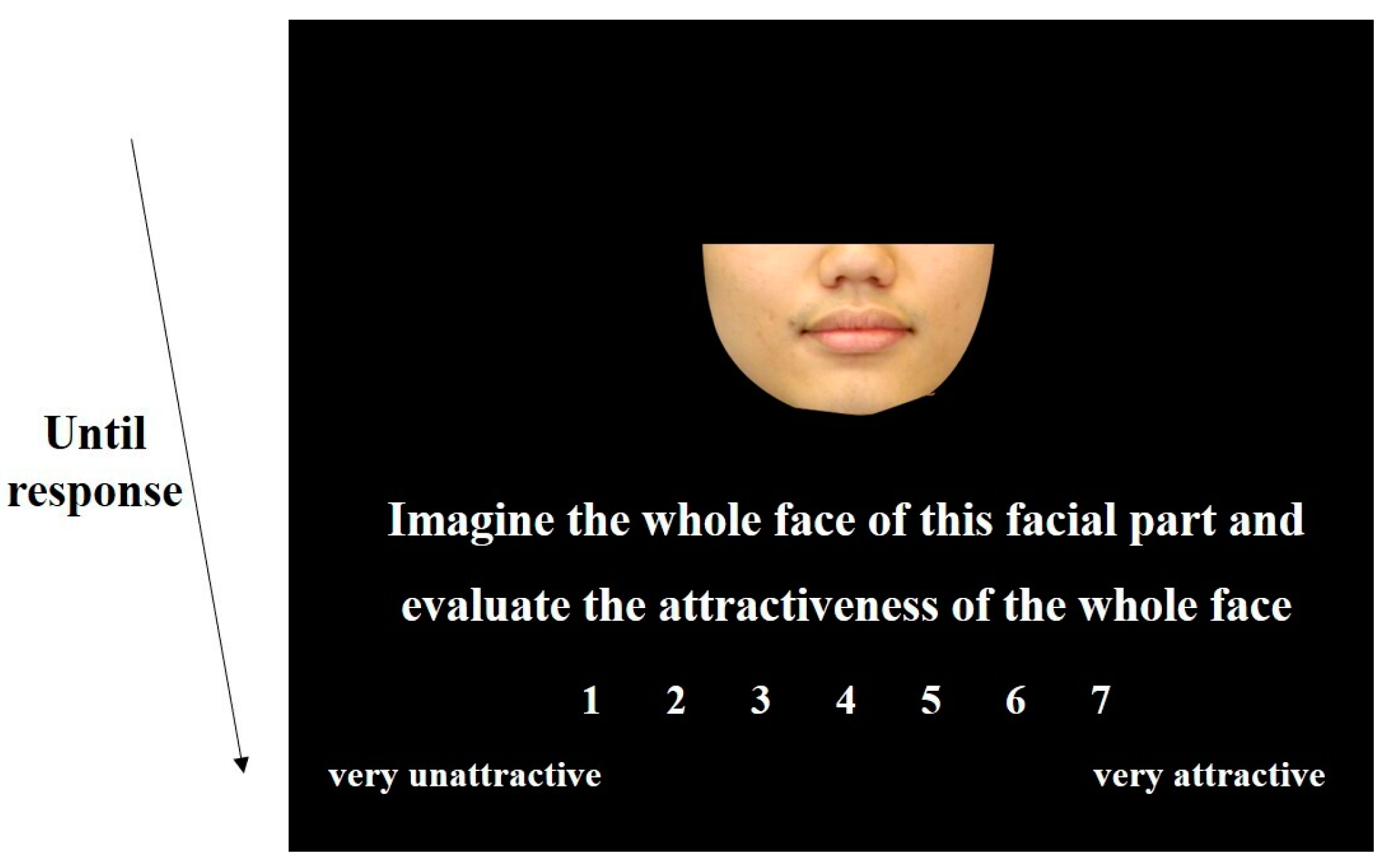 Behavsci 15 00141 g002