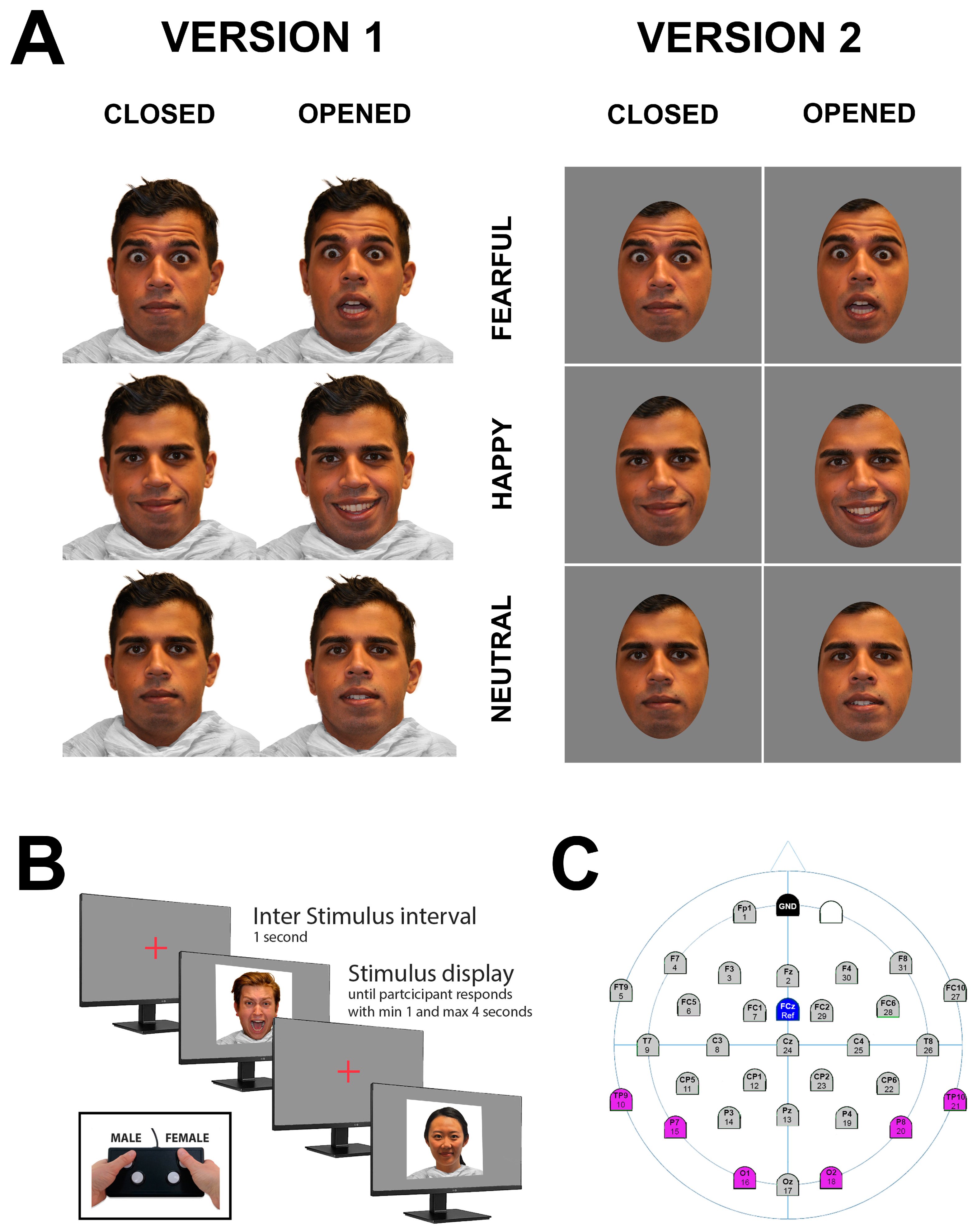 Behavsci 15 00163 g001