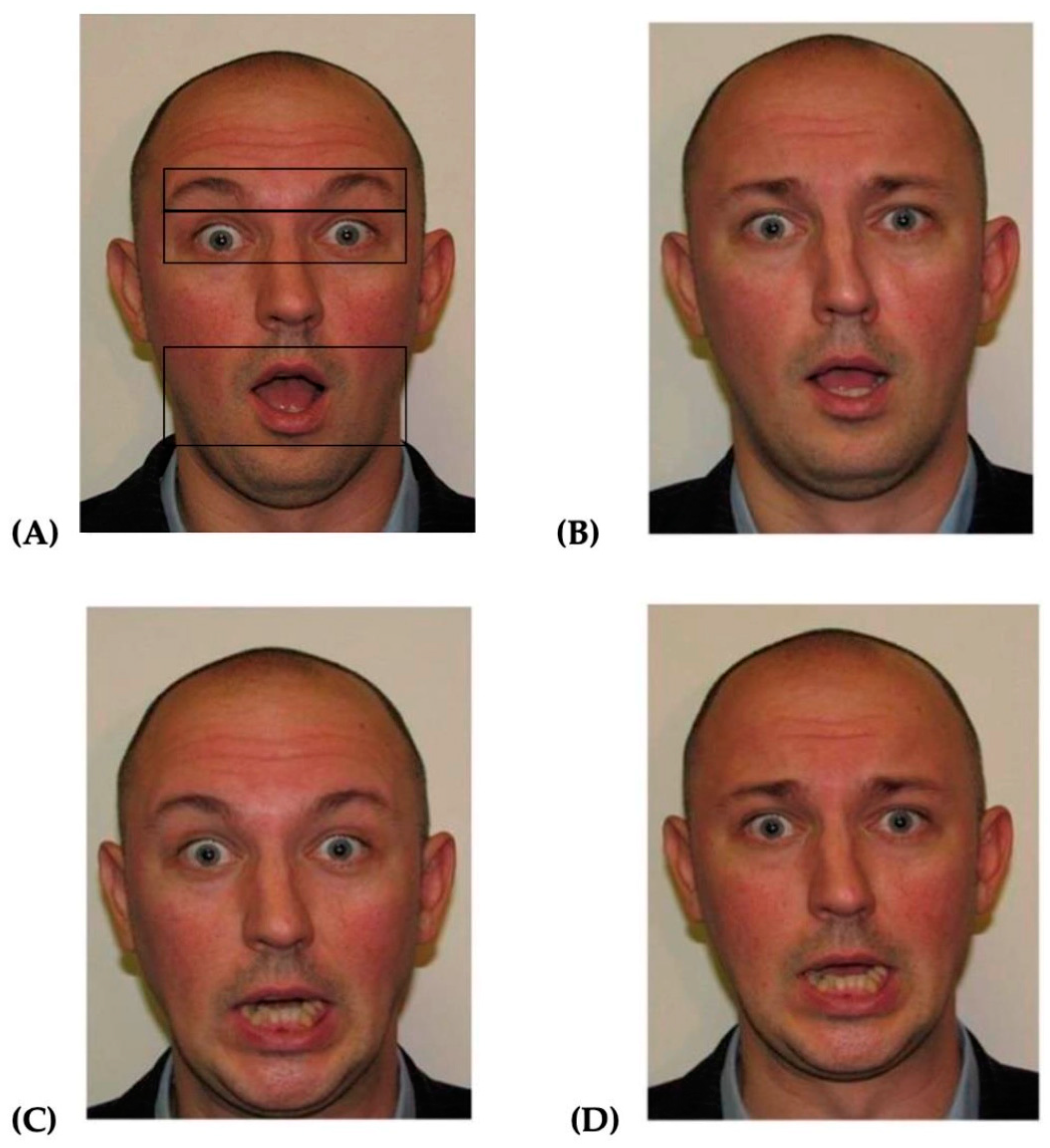 Behavsci 15 00166 g001