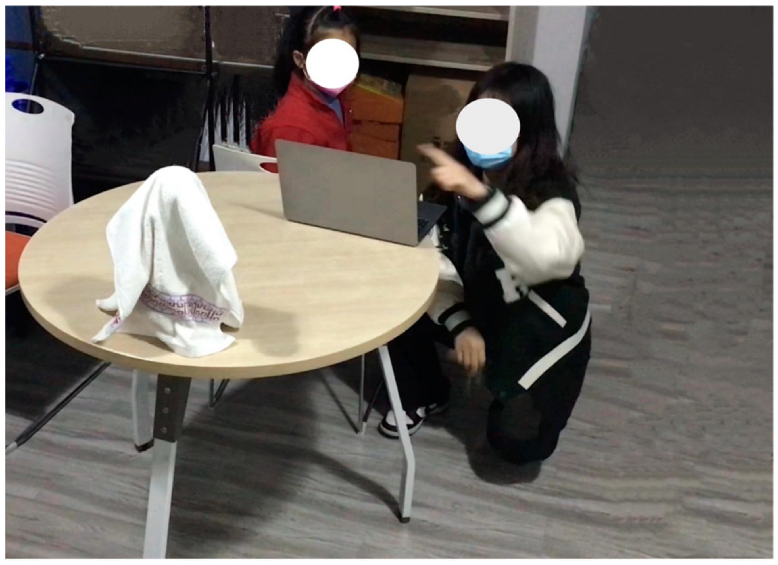 Behavsci 15 00178 g002