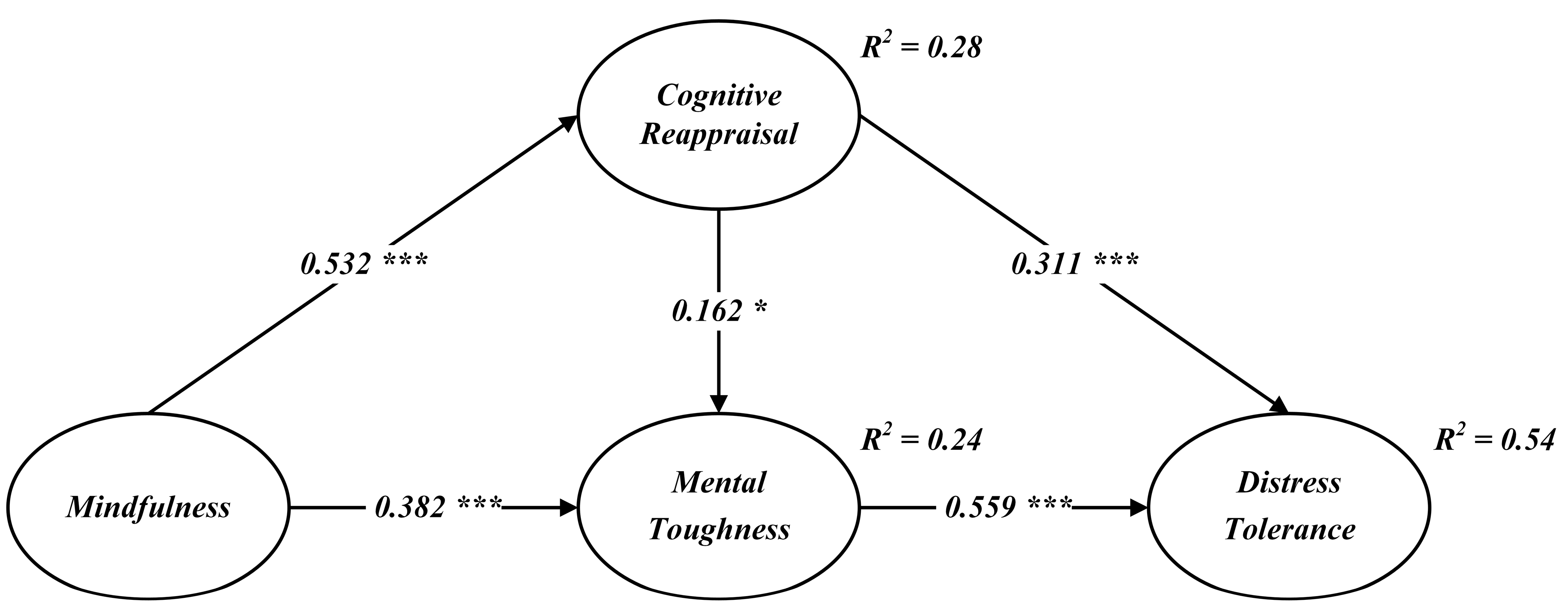 Behavsci 15 00298 g002 Behavsci 15 00298 g002