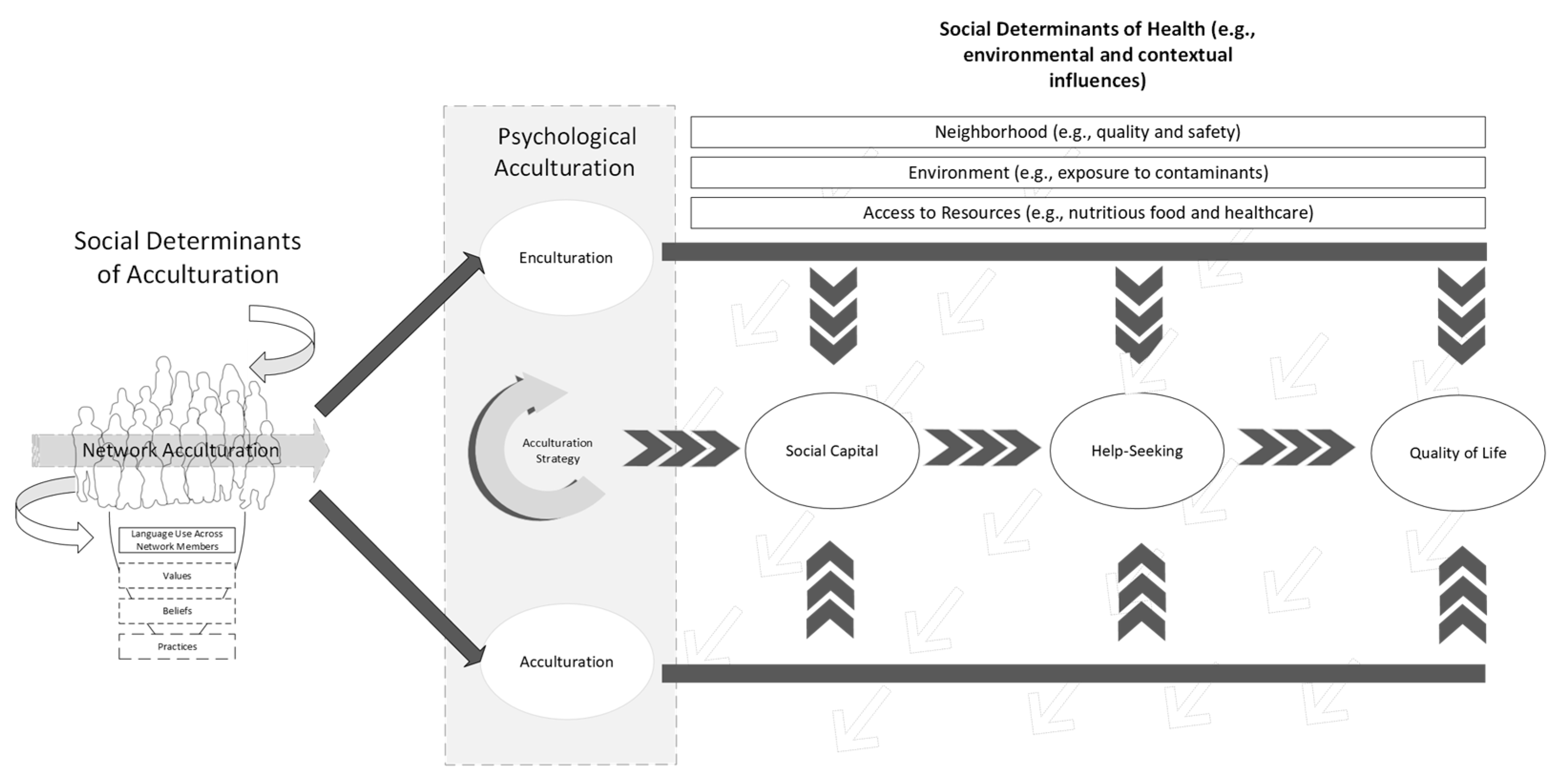 Behavsci 15 00388 g001
