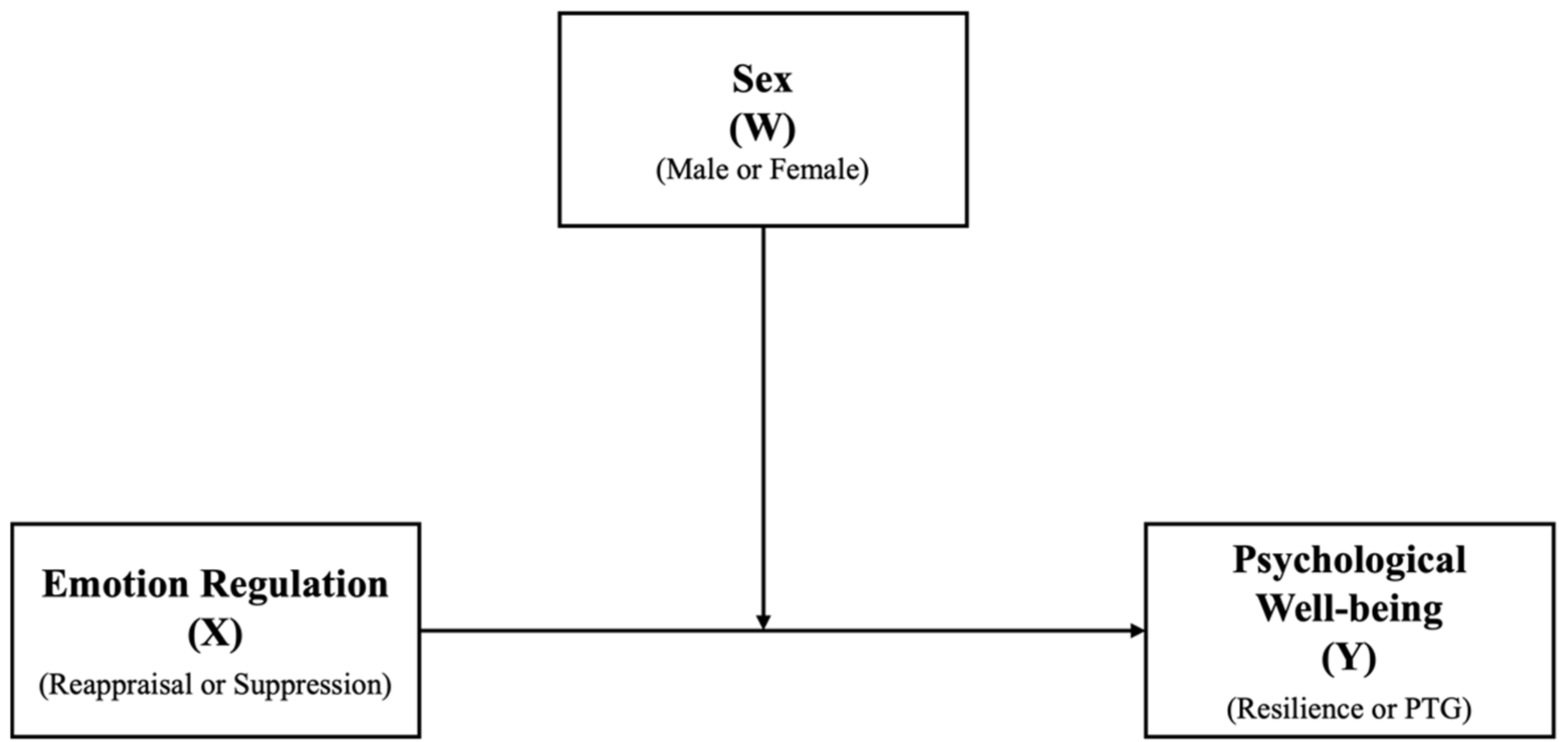 Behavsci 15 00636 g001