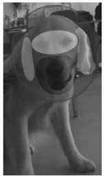 Behavsci 15 00674 i002