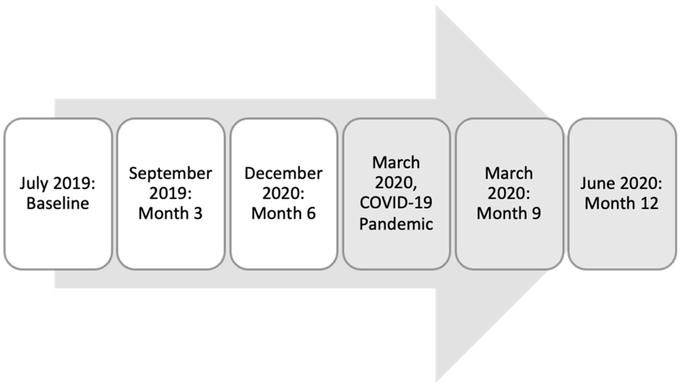 Behavsci 15 00821 g001