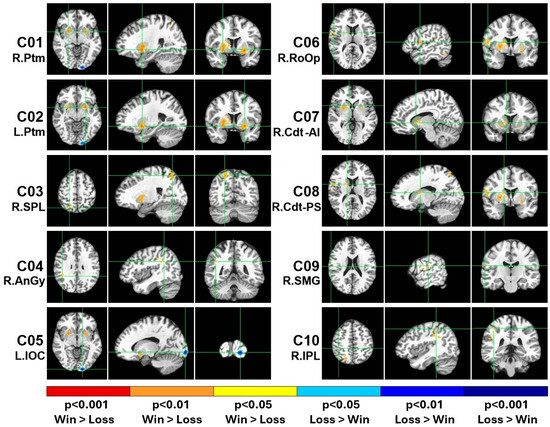 Behavsci 15 00994 g002