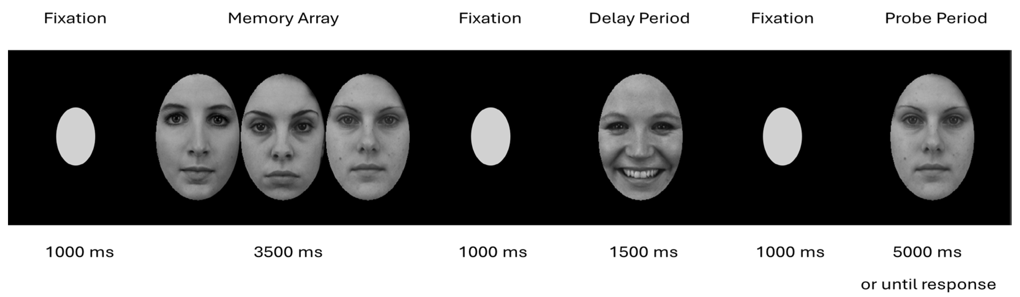 Behavsci 15 01081 g001