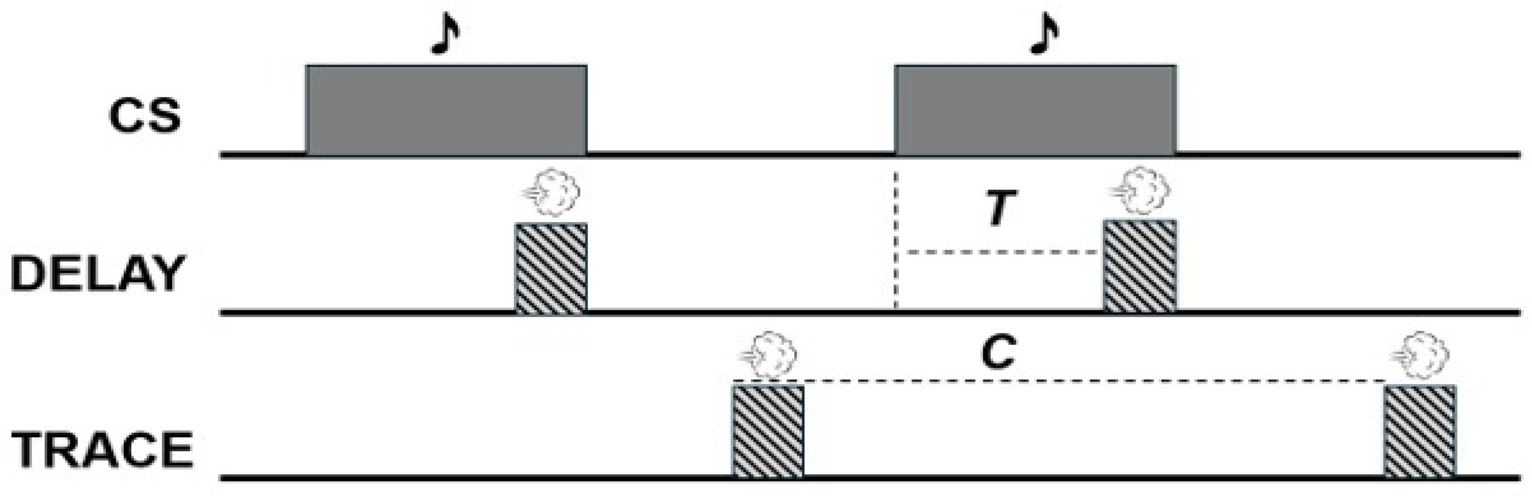 Behavsci 16 00111 g001 Behavsci 16 00111 g001