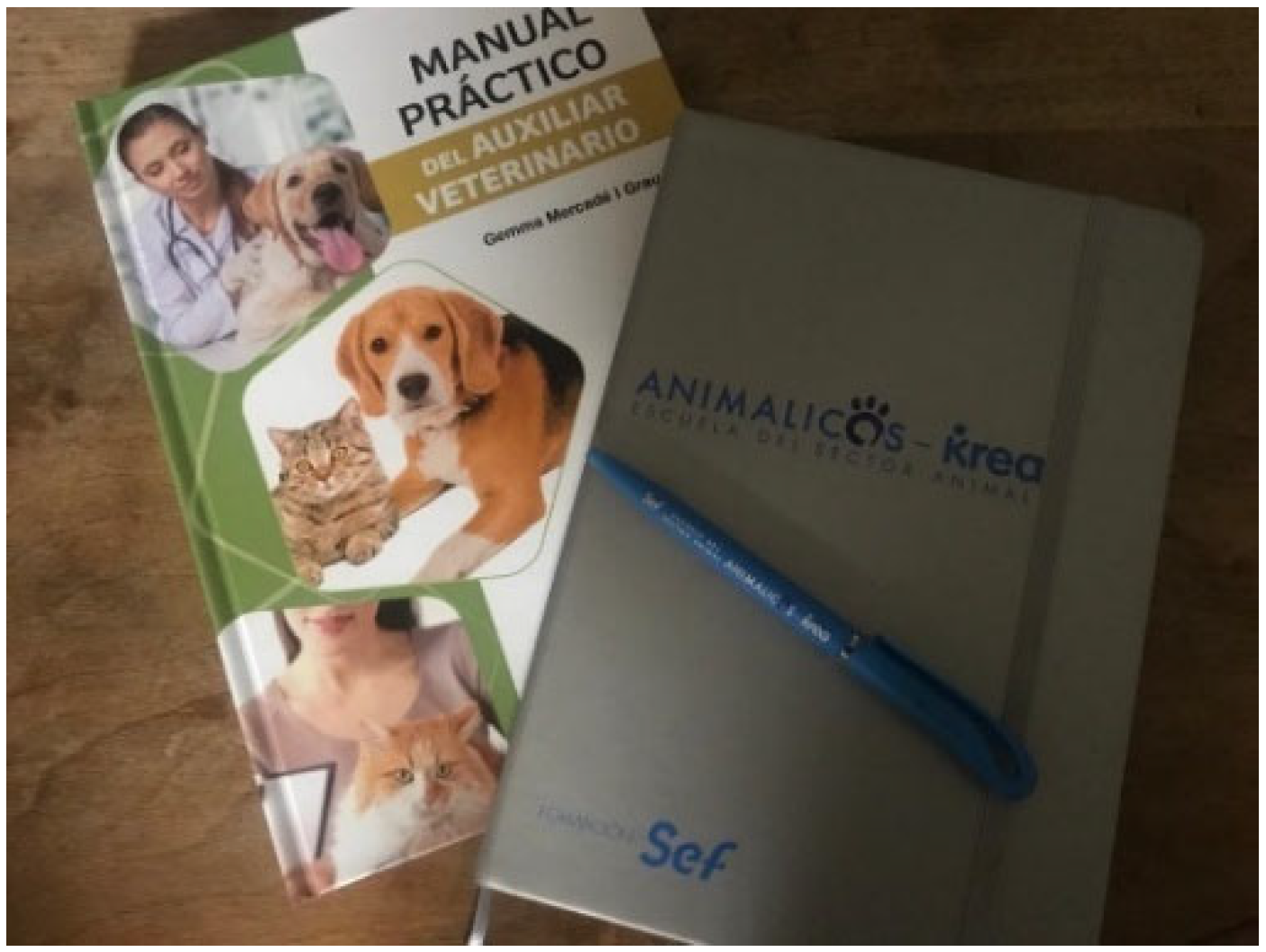 Behavsci 16 00265 g002