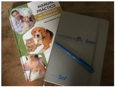 Behavsci 16 00265 i001