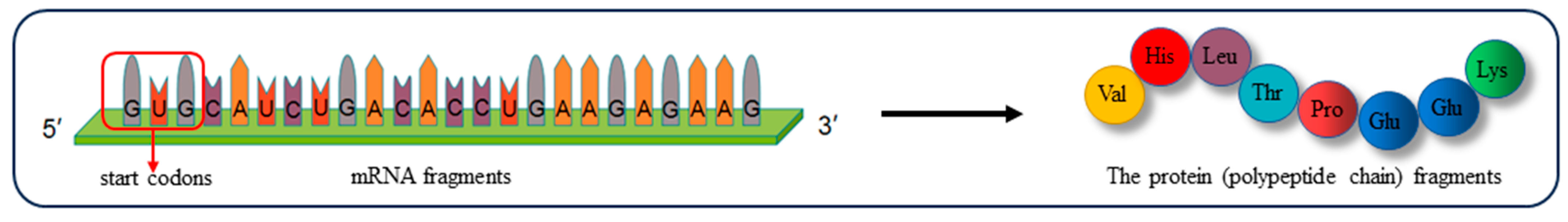 Behavsci 16 00296 g006