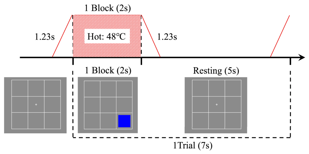 Behavsci 16 00701 g004 Behavsci 16 00701 g004