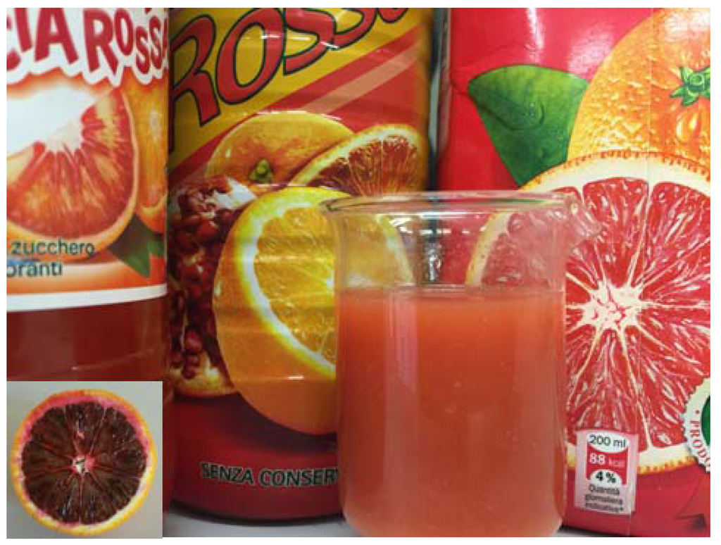 Beverages 01 00082 g001 1024