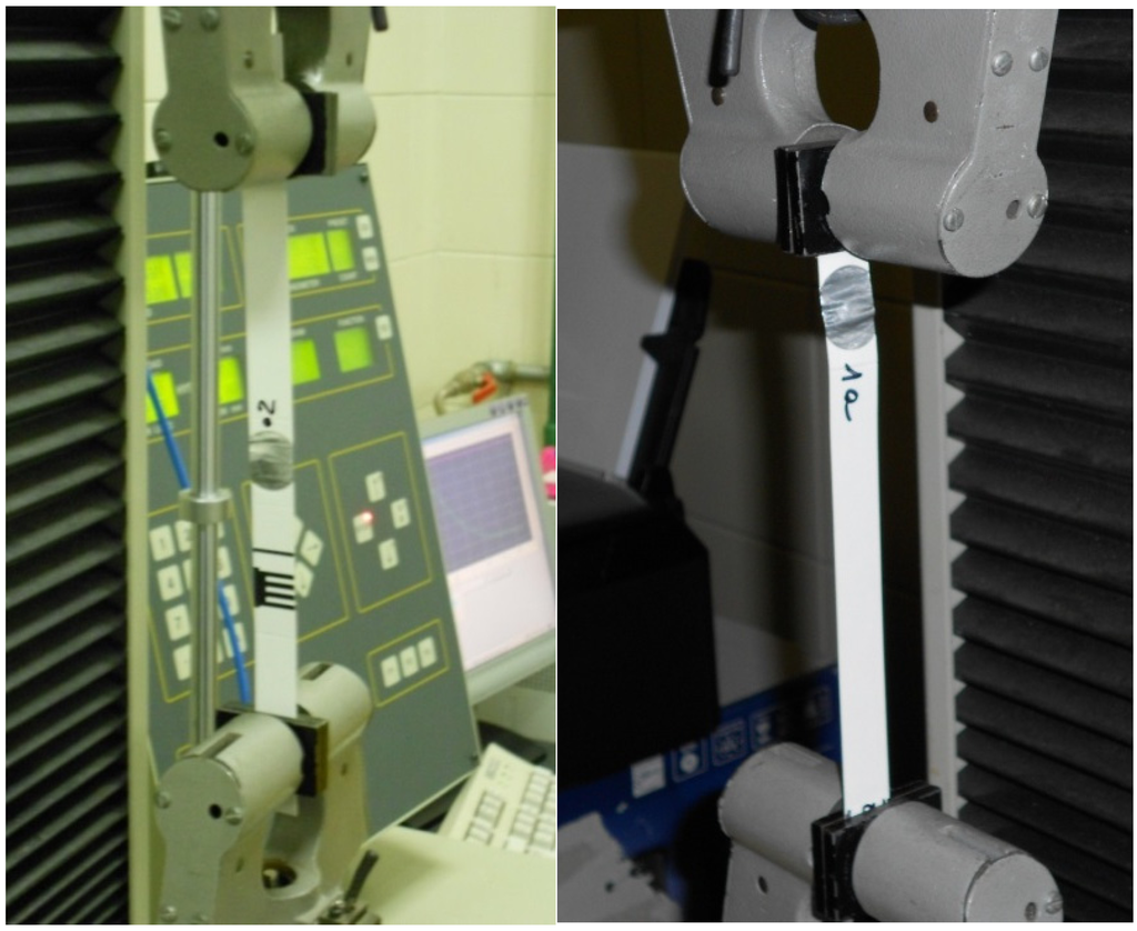 Beverages 01 00183 g002 1024