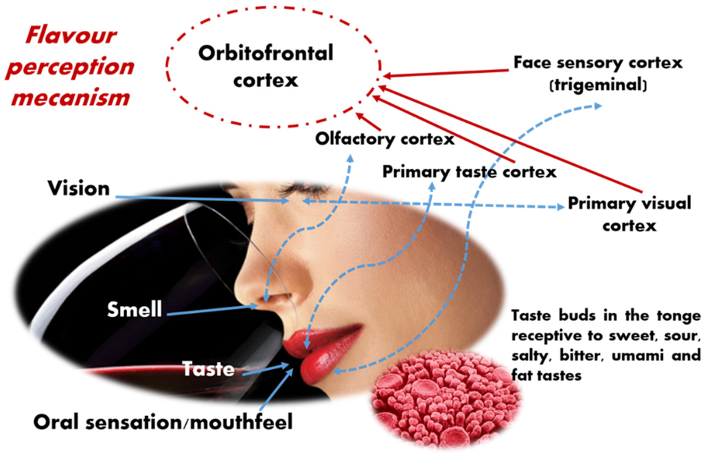 Beverages 01 00292 g002 1024