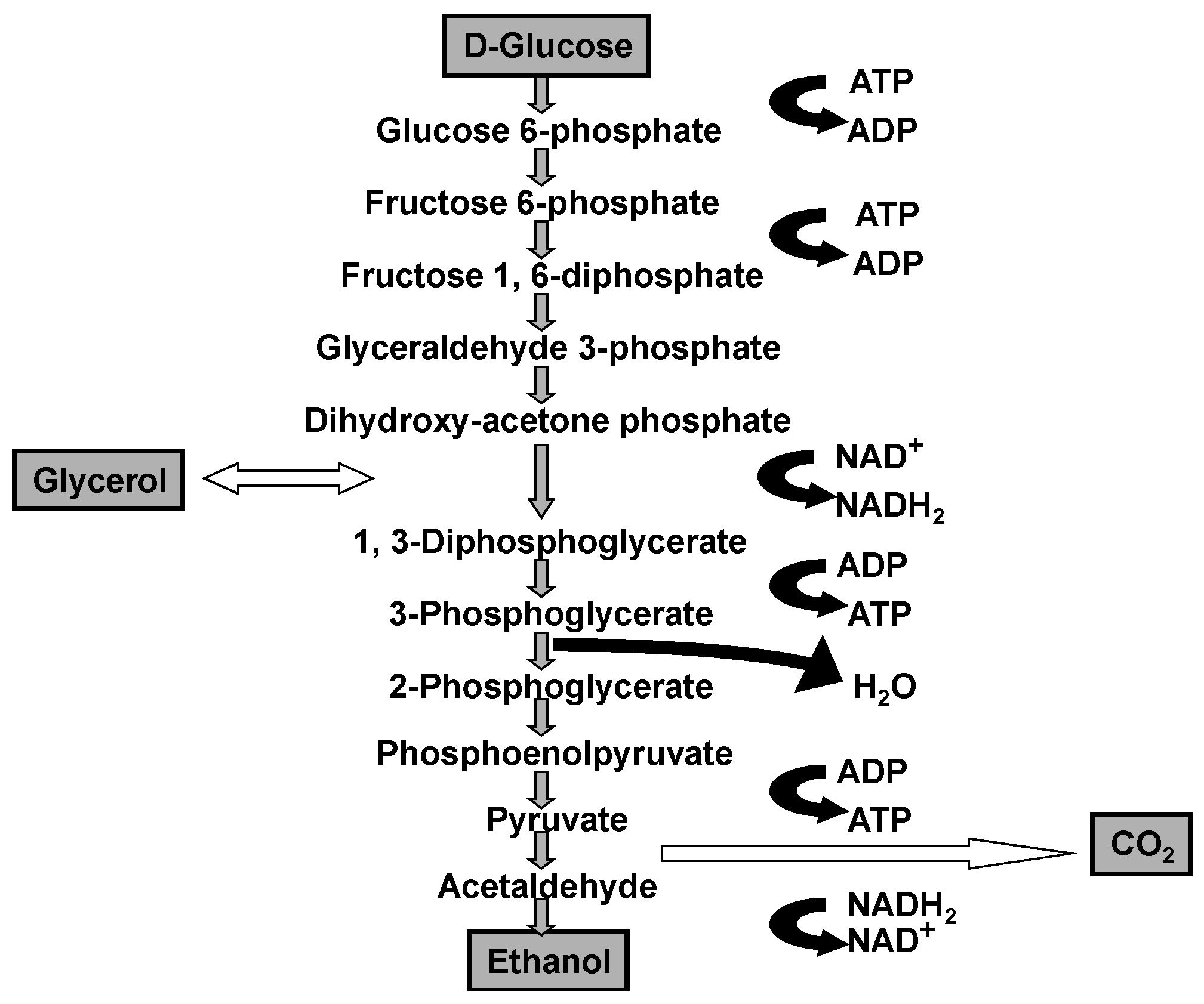 Beverages 02 00034 g002
