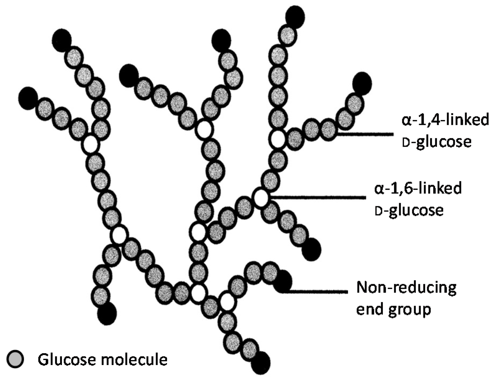 Beverages 02 00034 g012