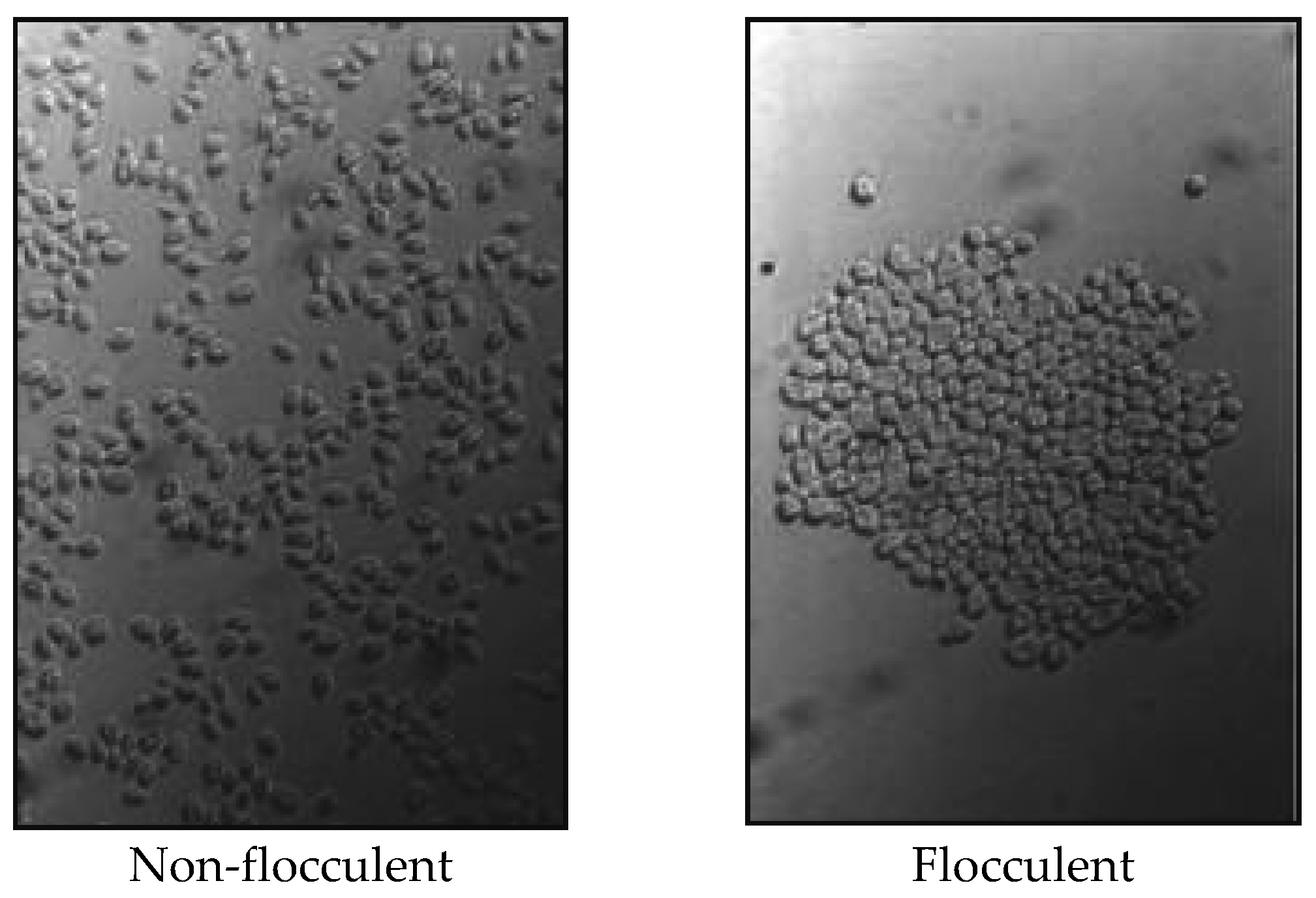 Beverages 02 00034 g014