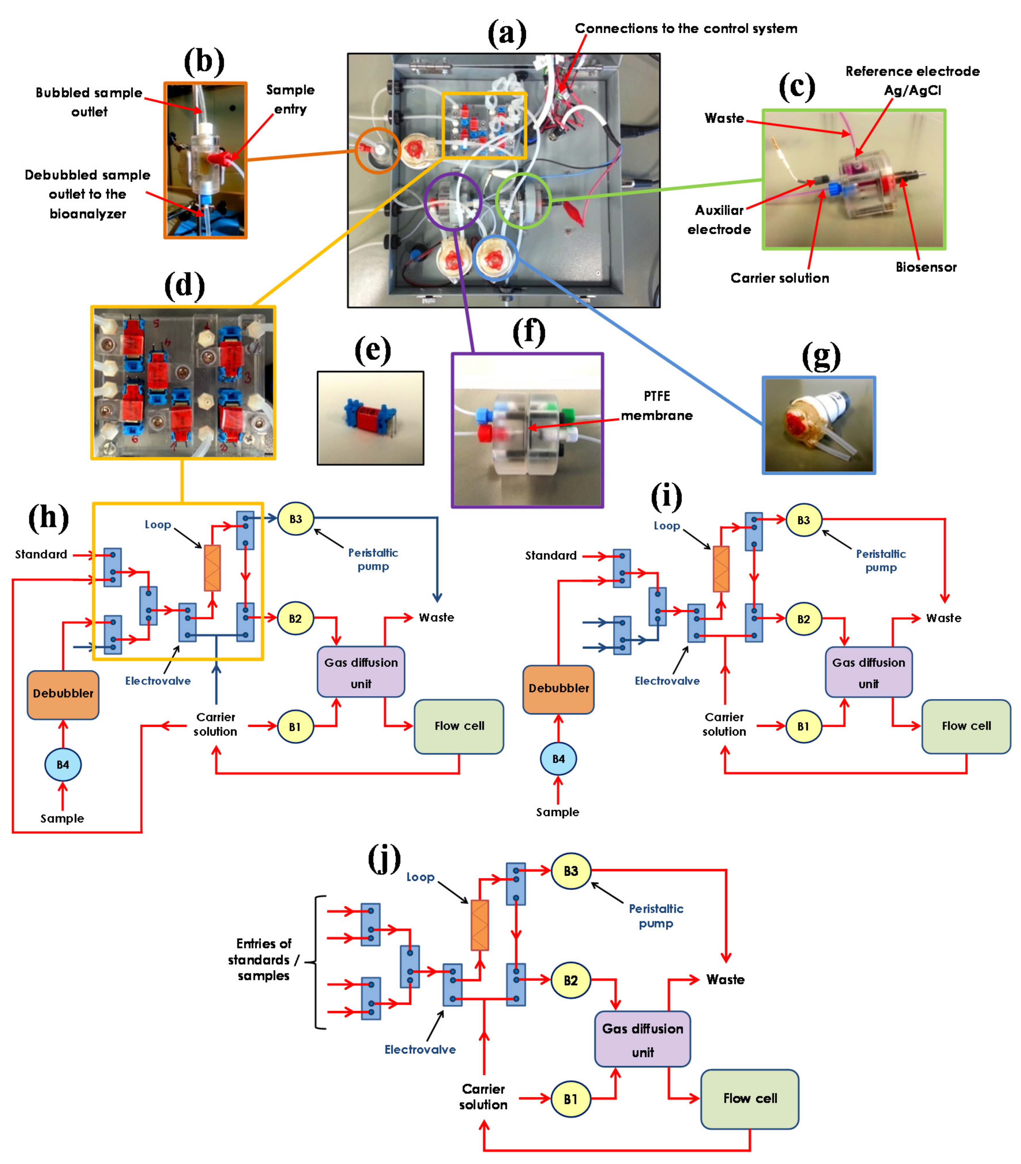 Beverages 03 00022 g003