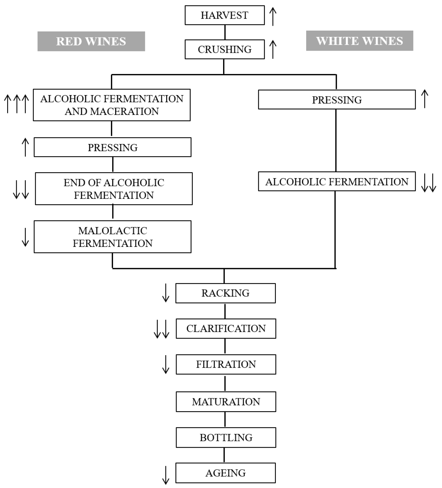 Beverages 04 00006 g002