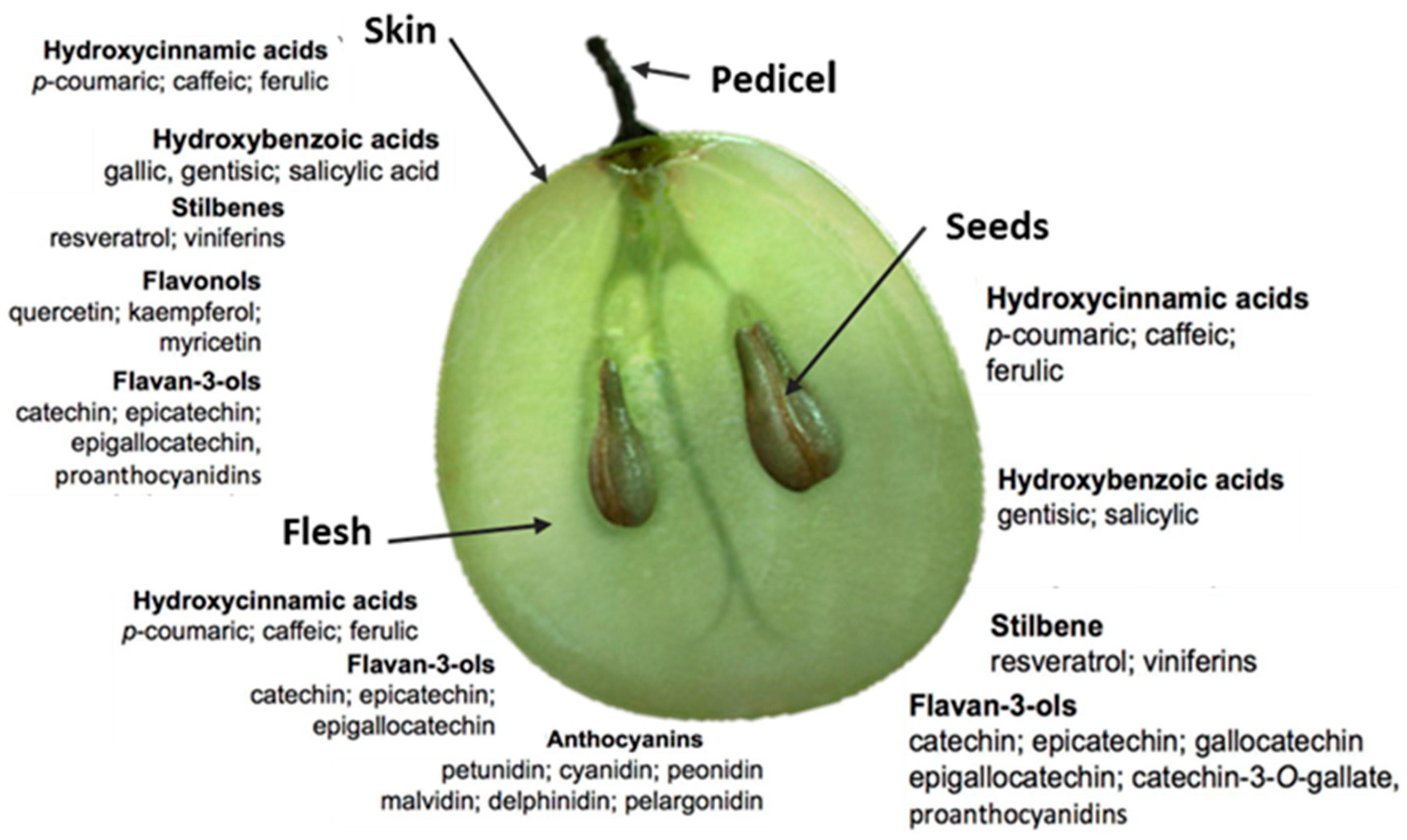 Beverages 04 00022 g002