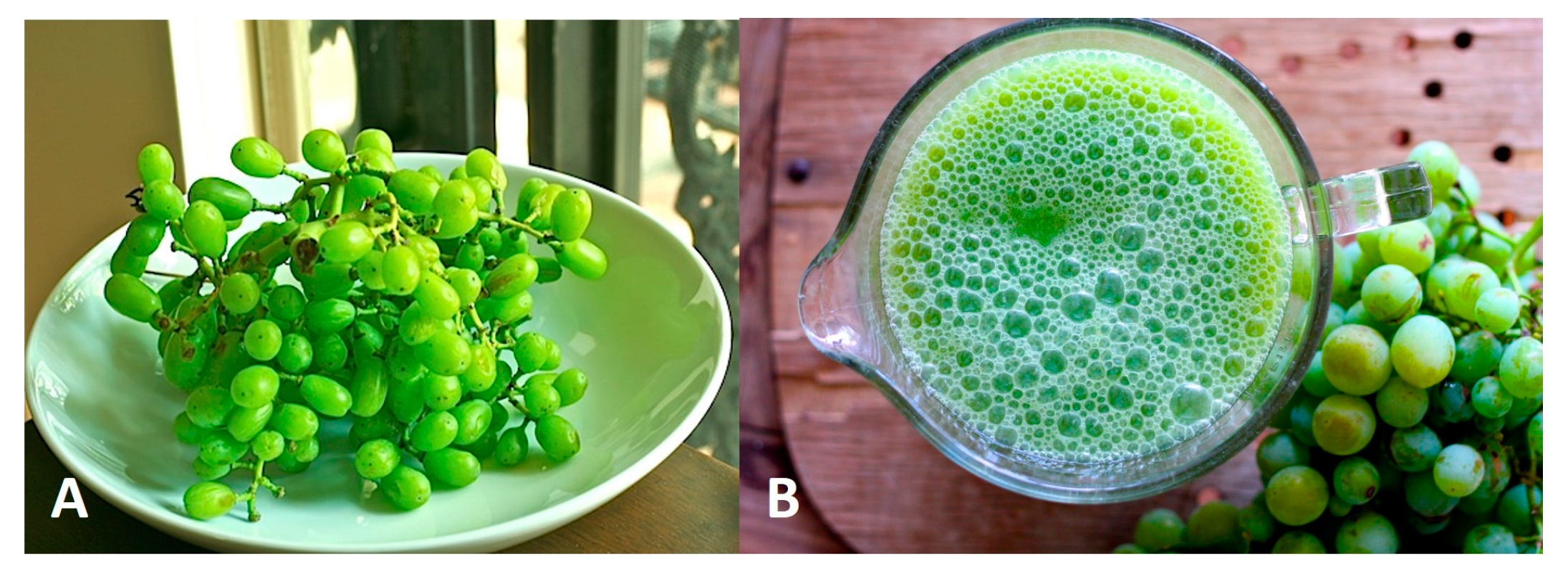 Beverages 04 00022 g005