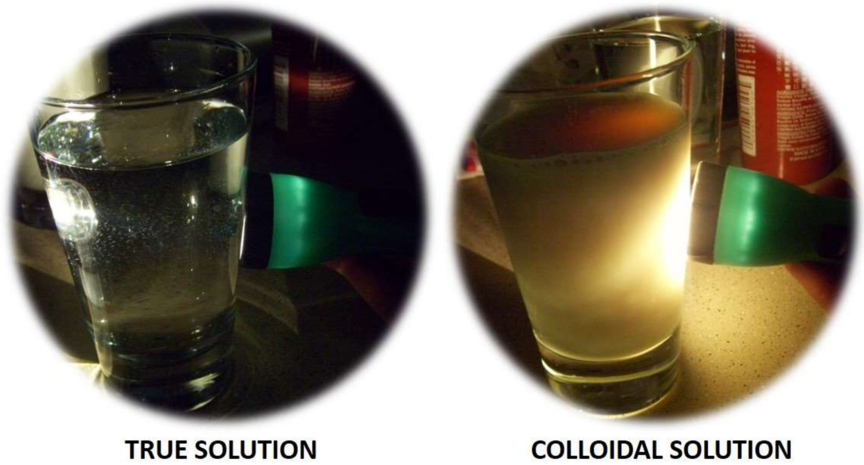 Beverages 04 00025 g002