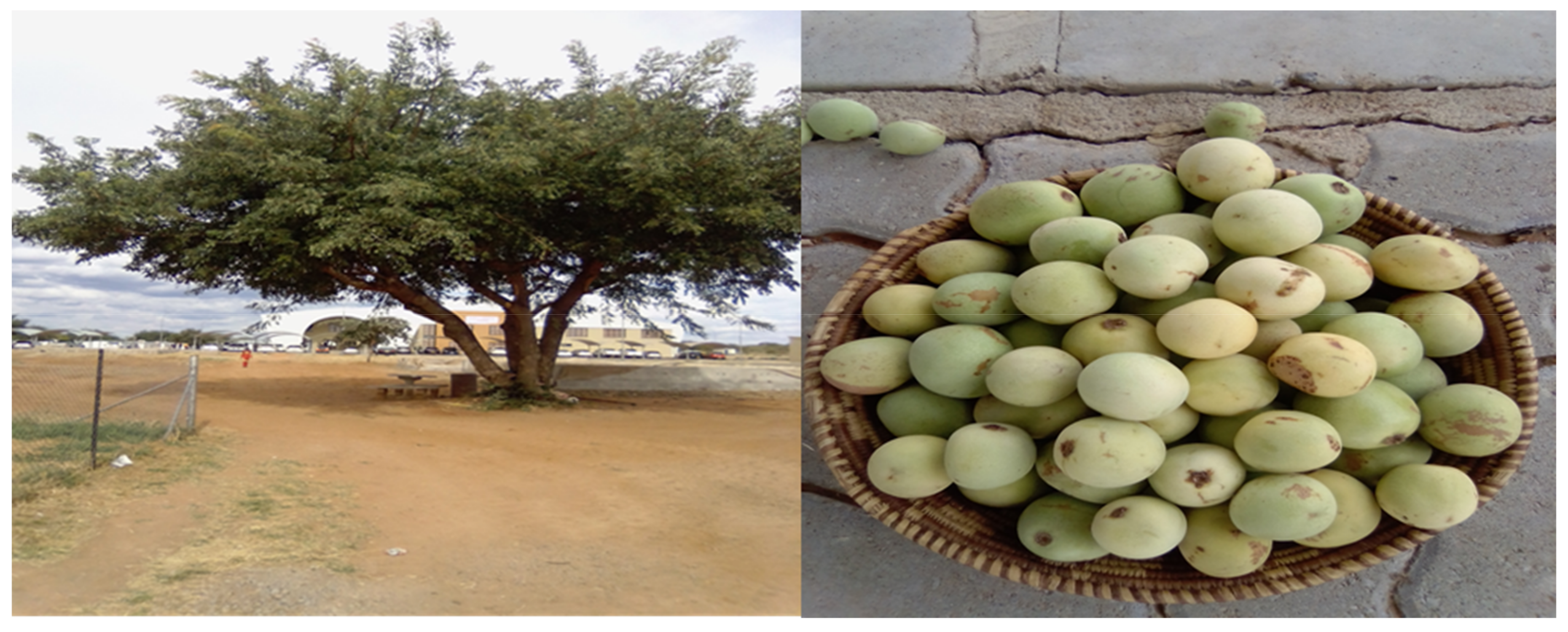 Beverages 04 00036 g002