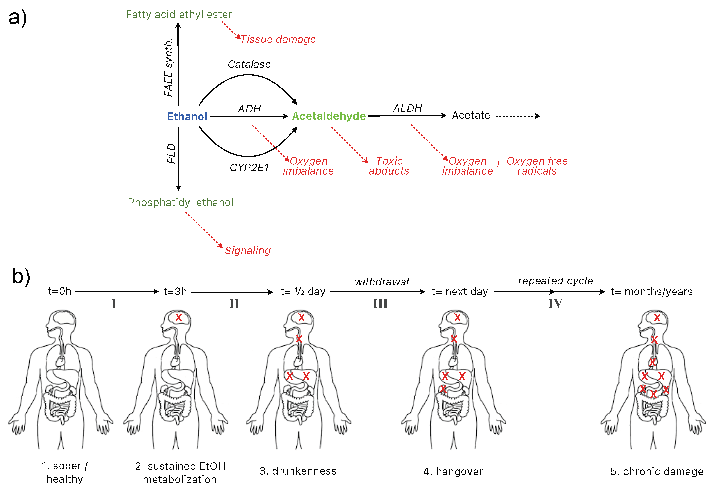 Beverages 04 00039 g005 Beverages 04 00039 g005