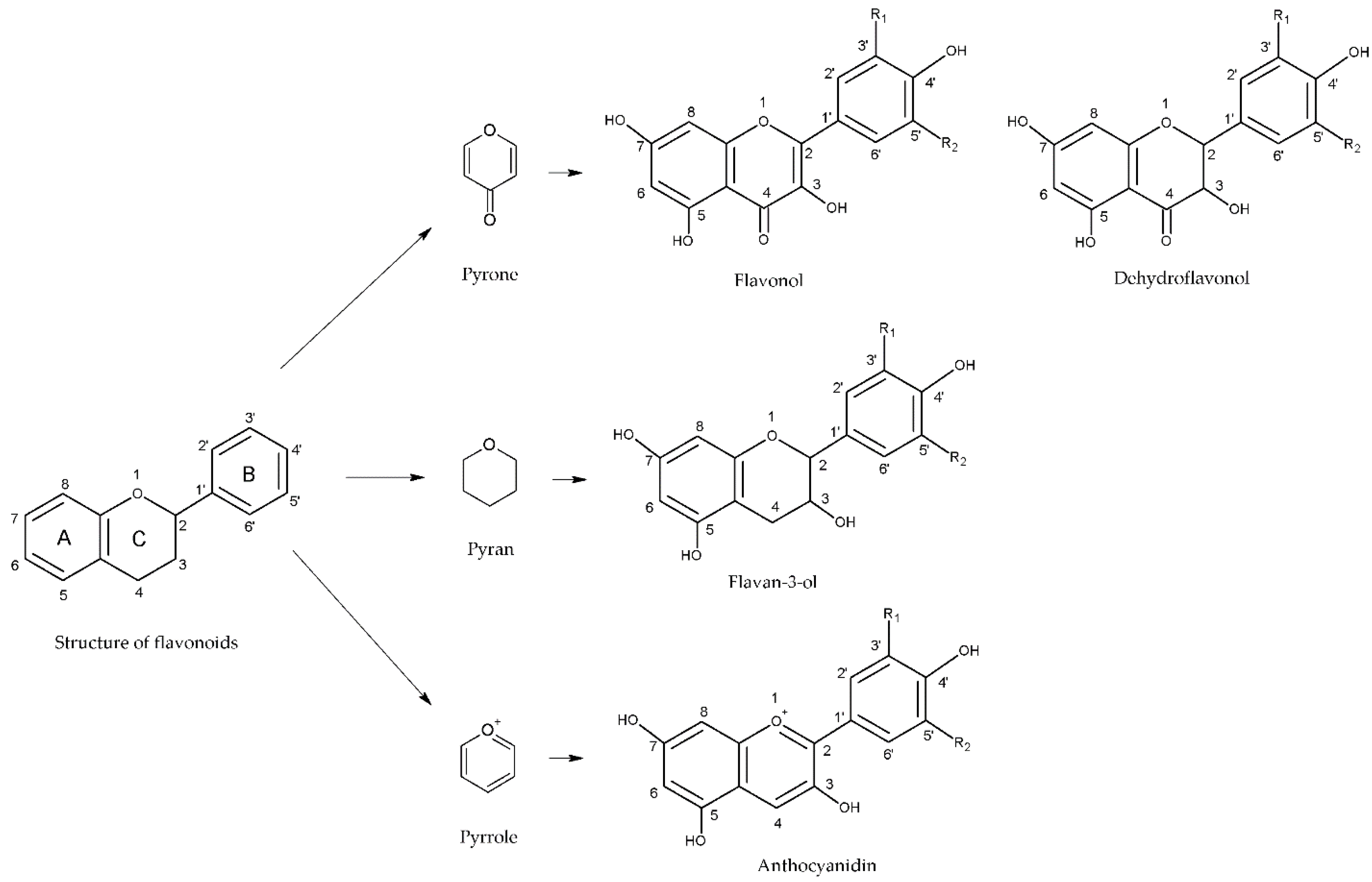 Beverages 04 00075 g003