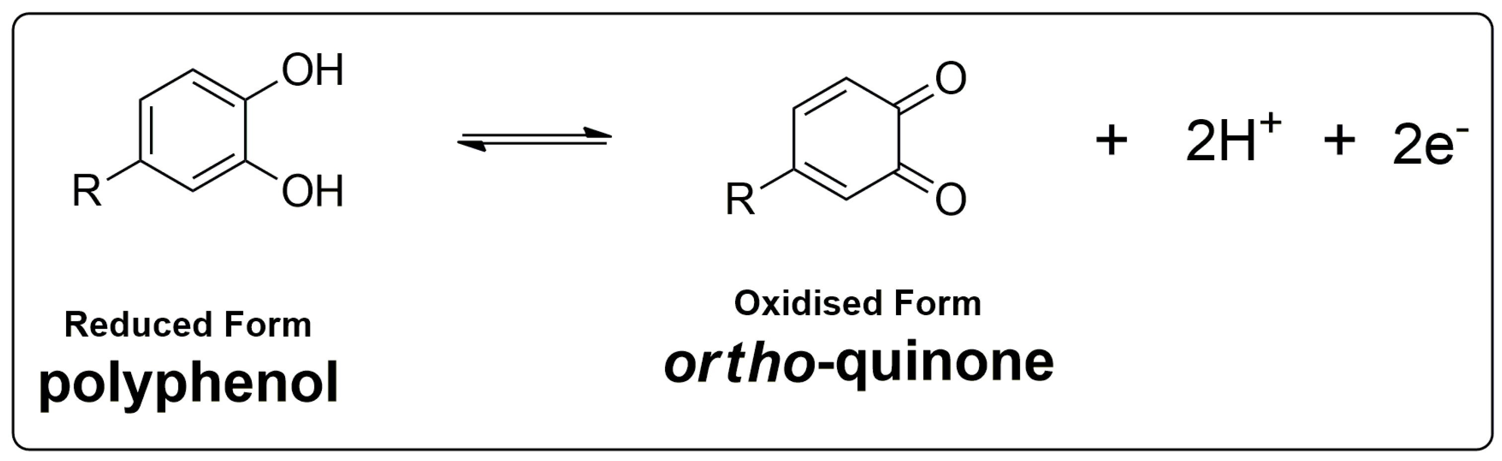 Beverages 05 00017 sch001