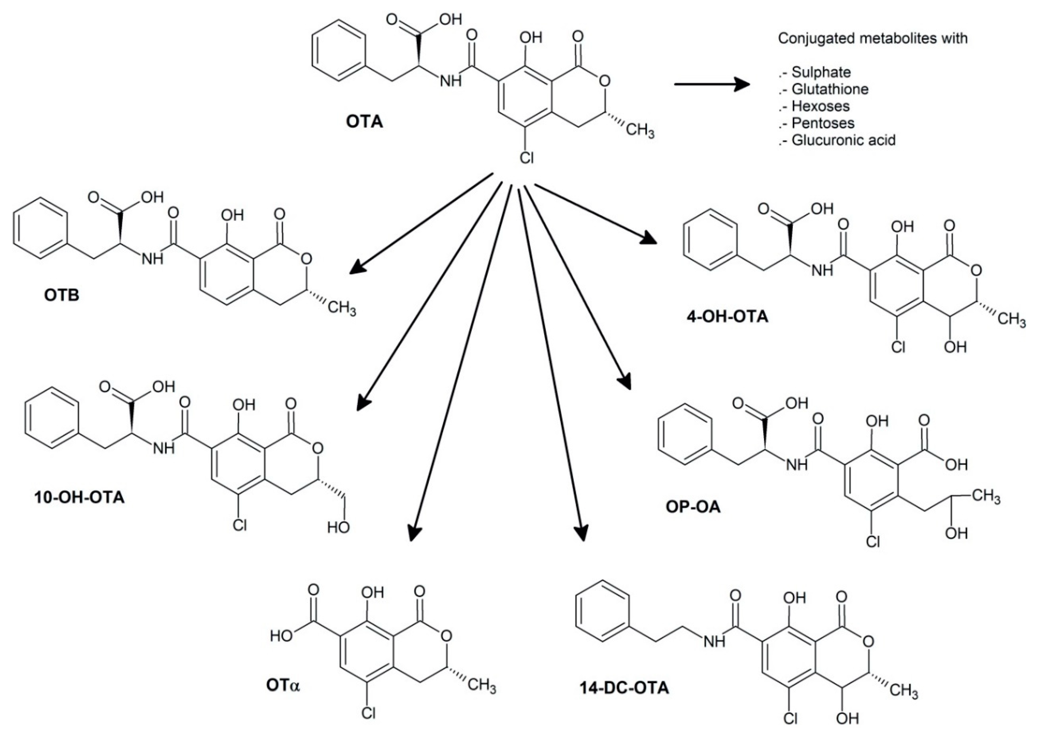 Beverages 05 00036 g001 Beverages 05 00036 g001